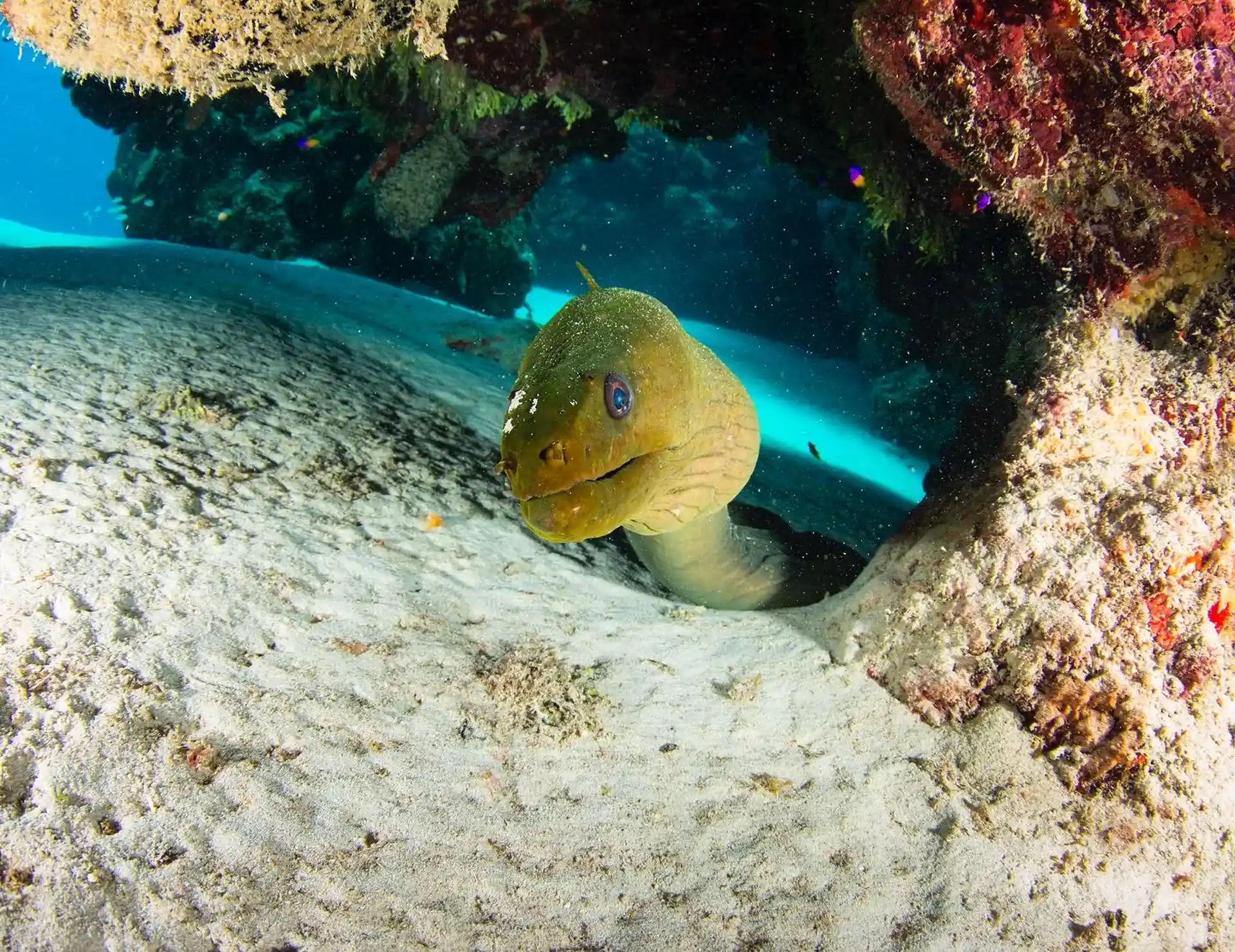 Photo du site de plongée