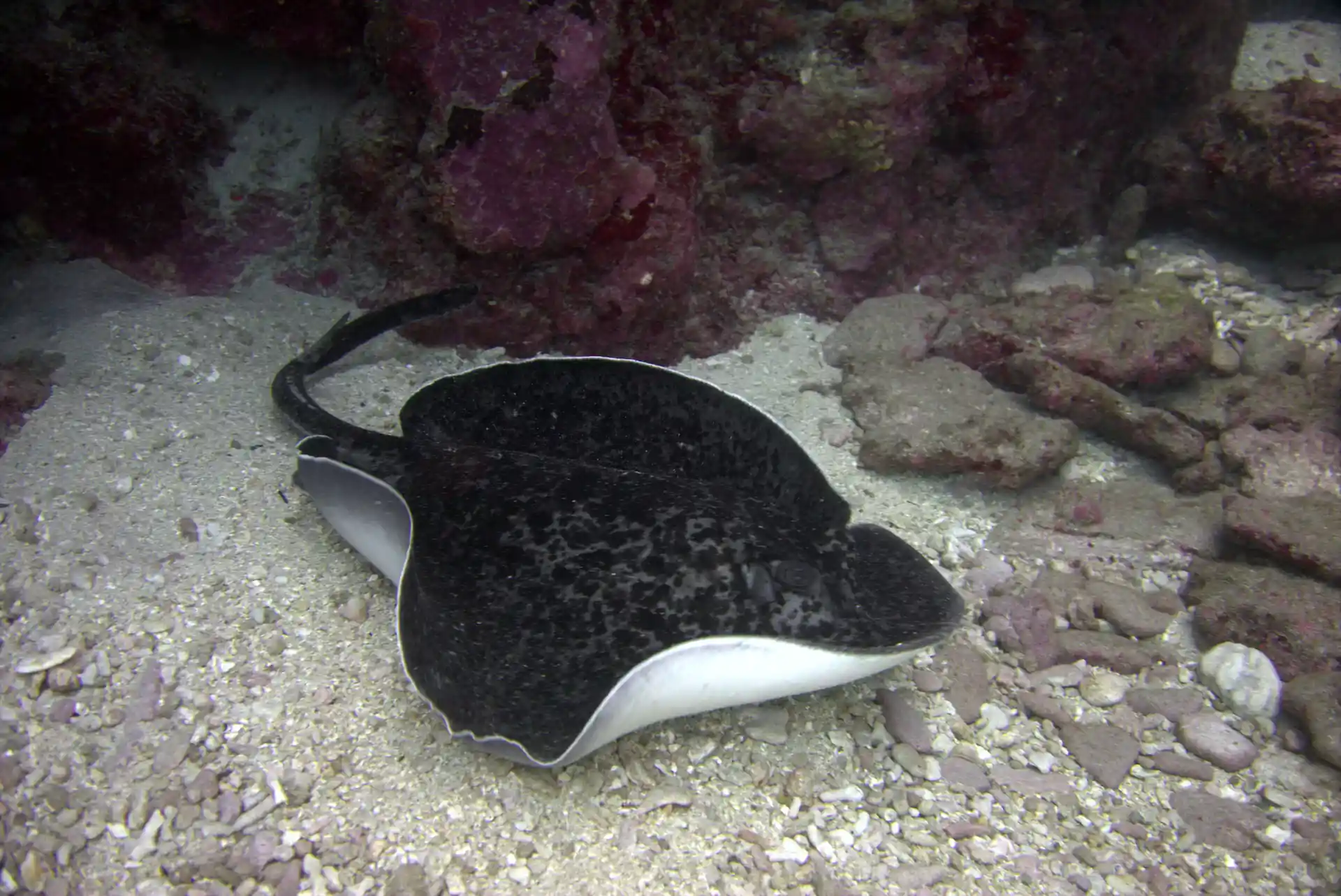 Photo de l'activité