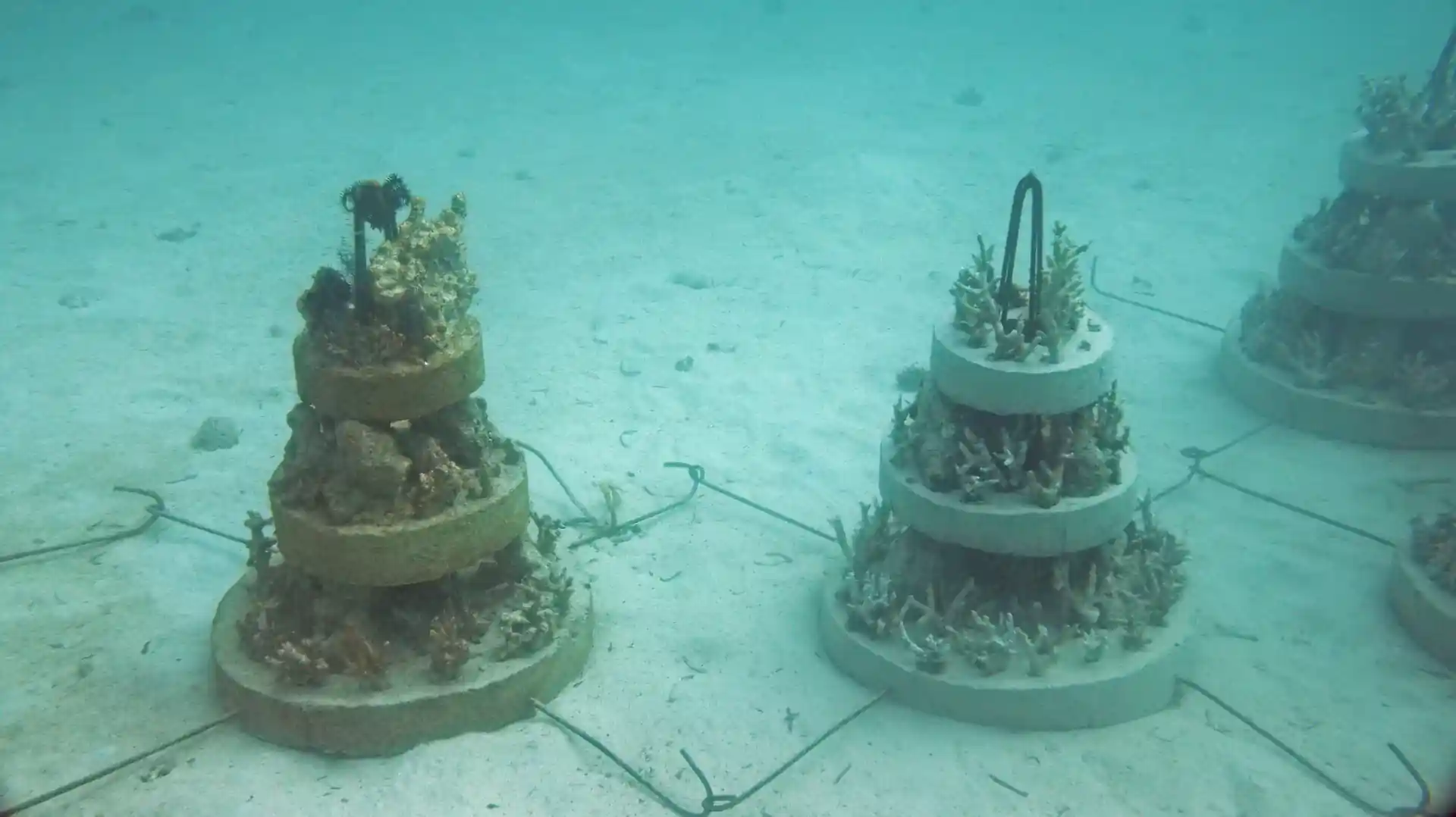 Dive site photo