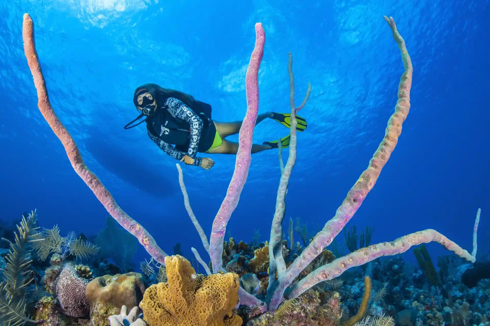 Dive site photo