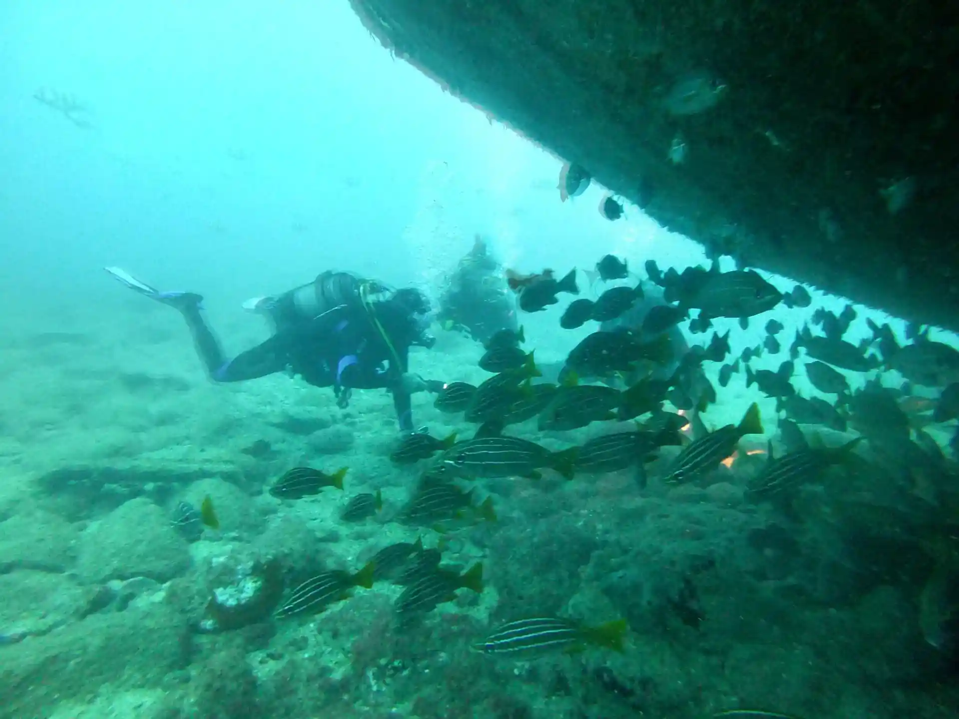 Dive site photo