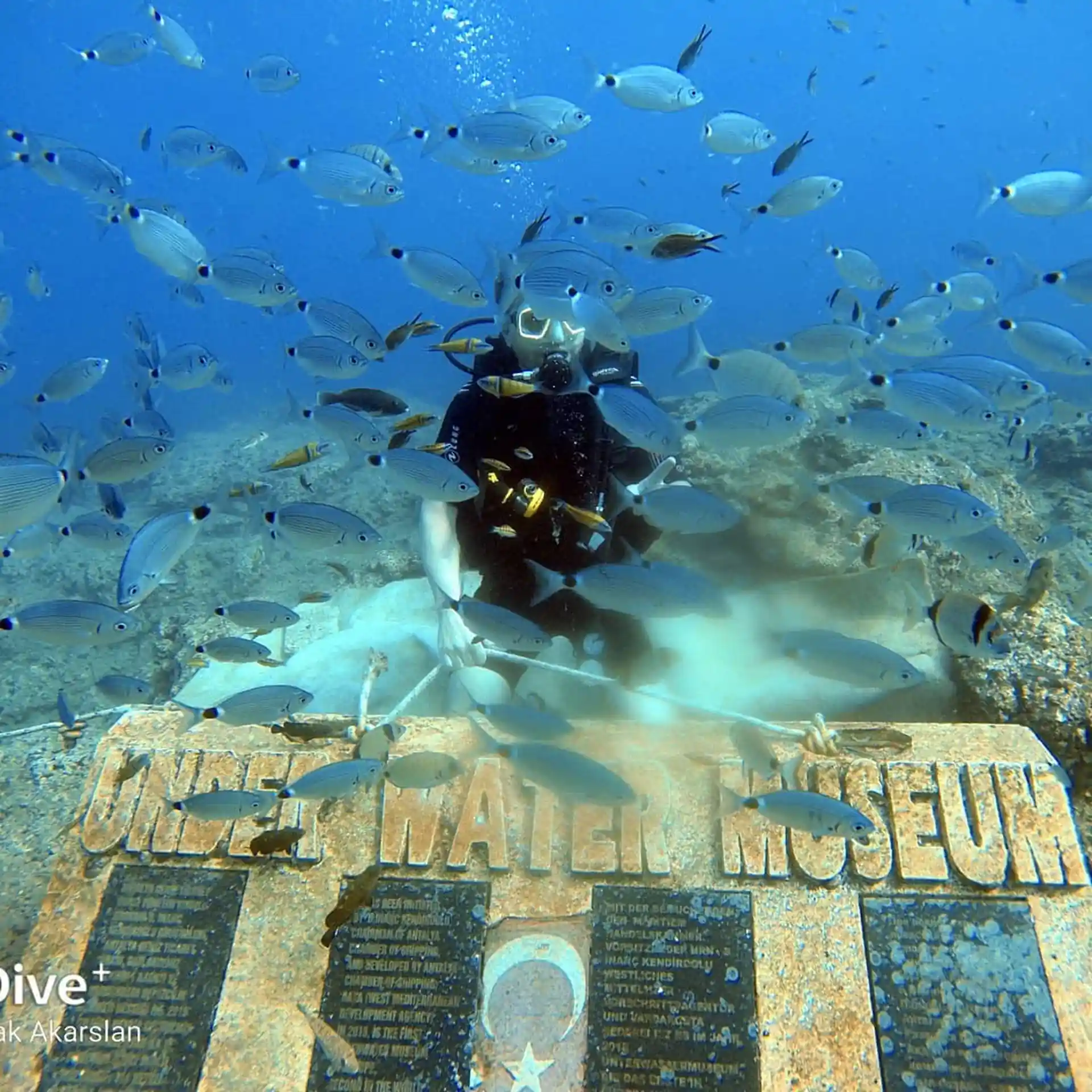 Get ready for underwater fun