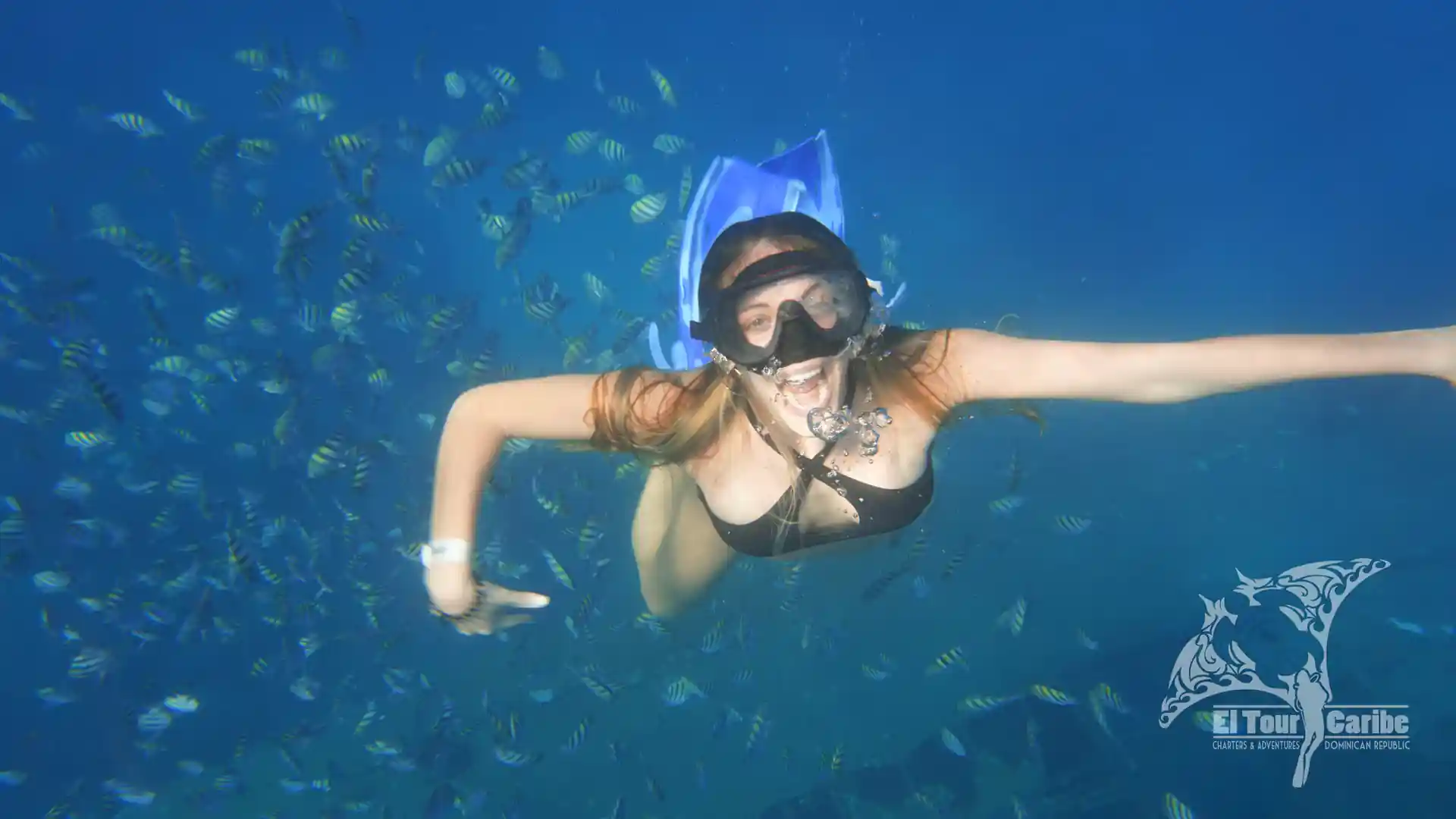 Snorkeler at Atlantic Princess Shipwreck enjoying the freedom amongst the fish!