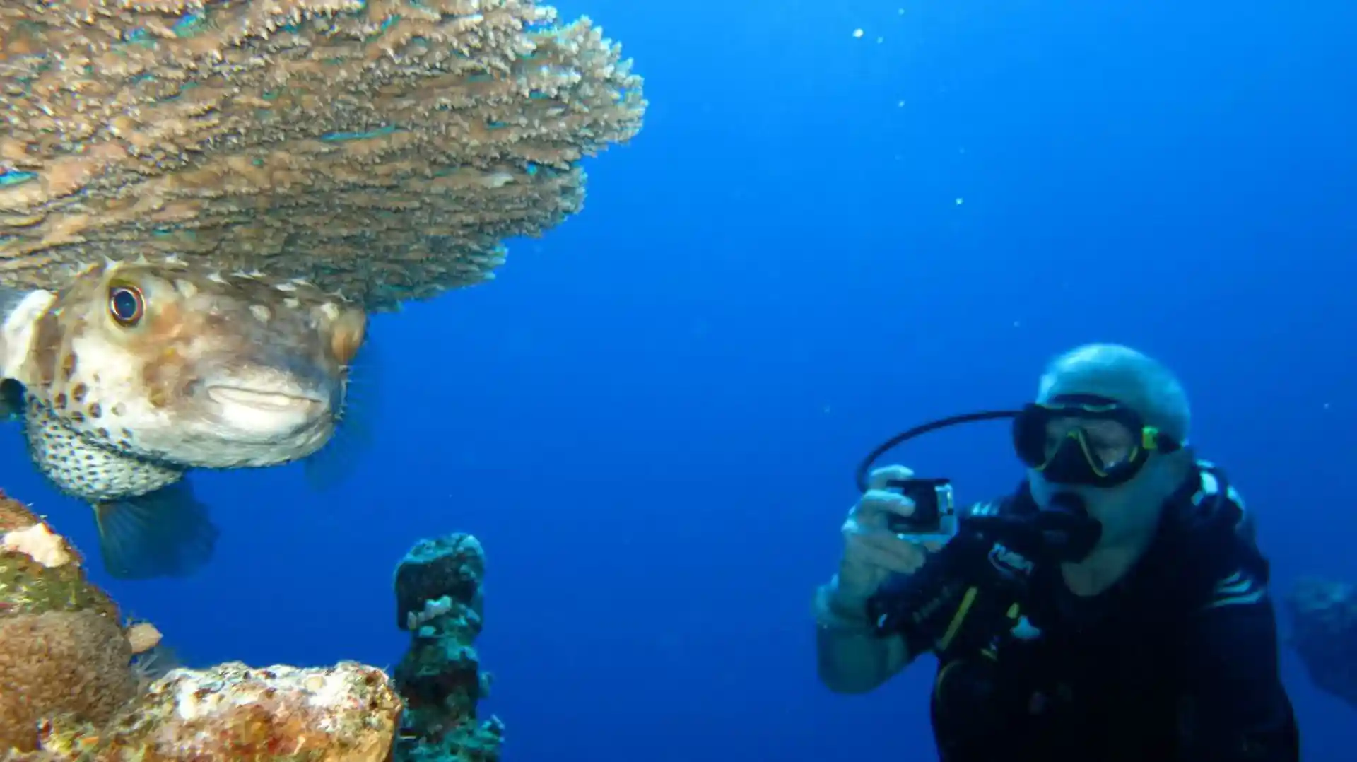 Foto de la tienda de buceo