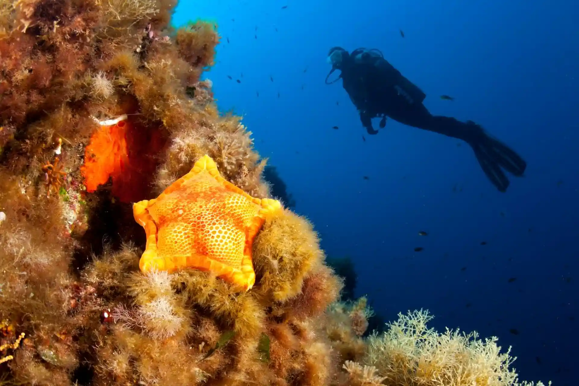 Foto de la actividad