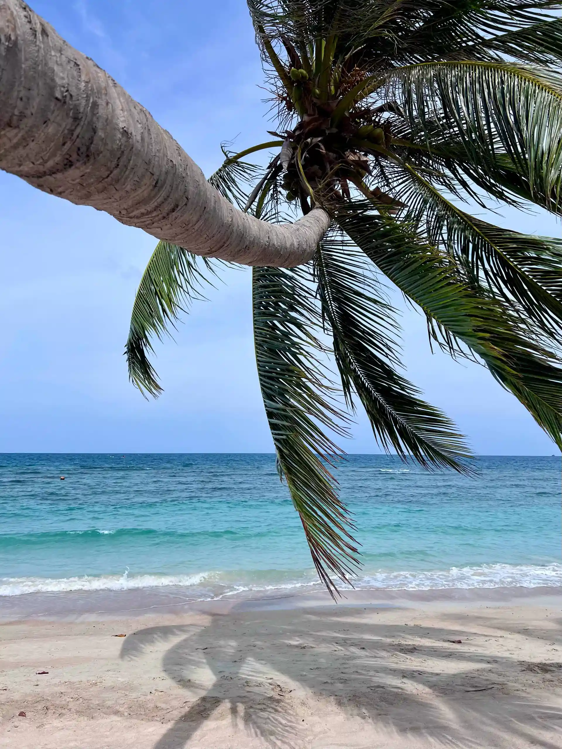 Let's keep our oceans clean