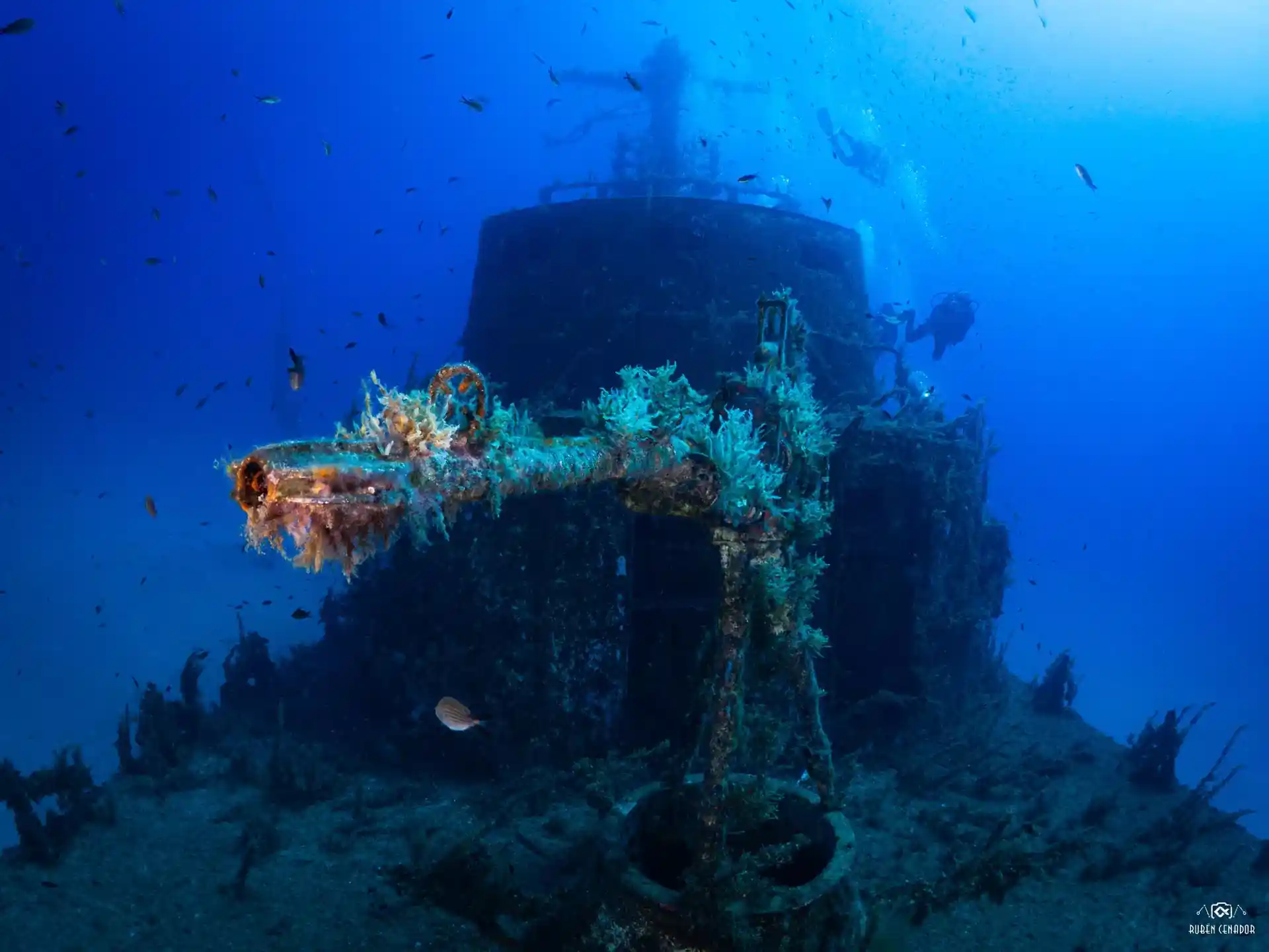 Dive site photo