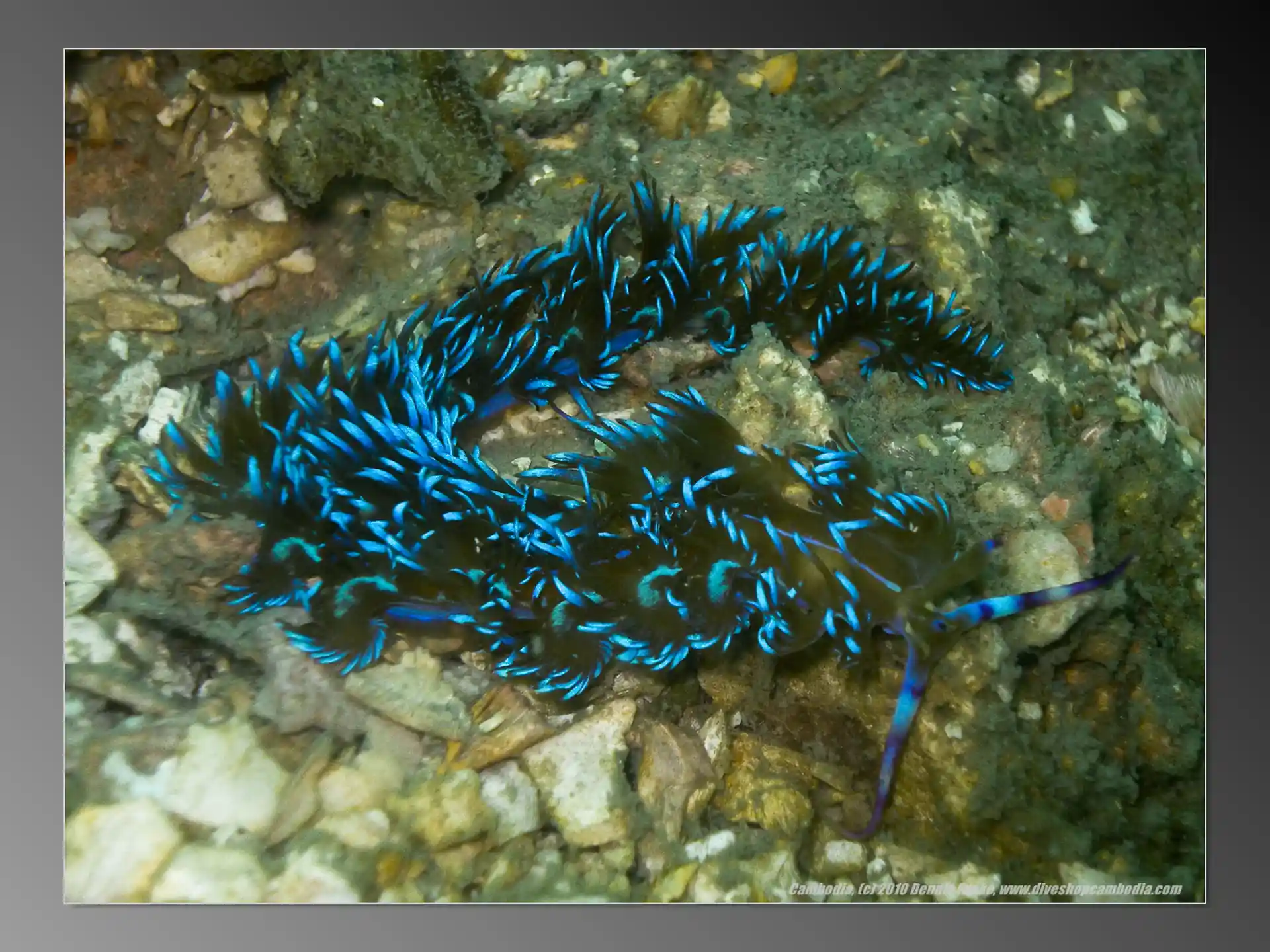 Foto van de duiklocatie