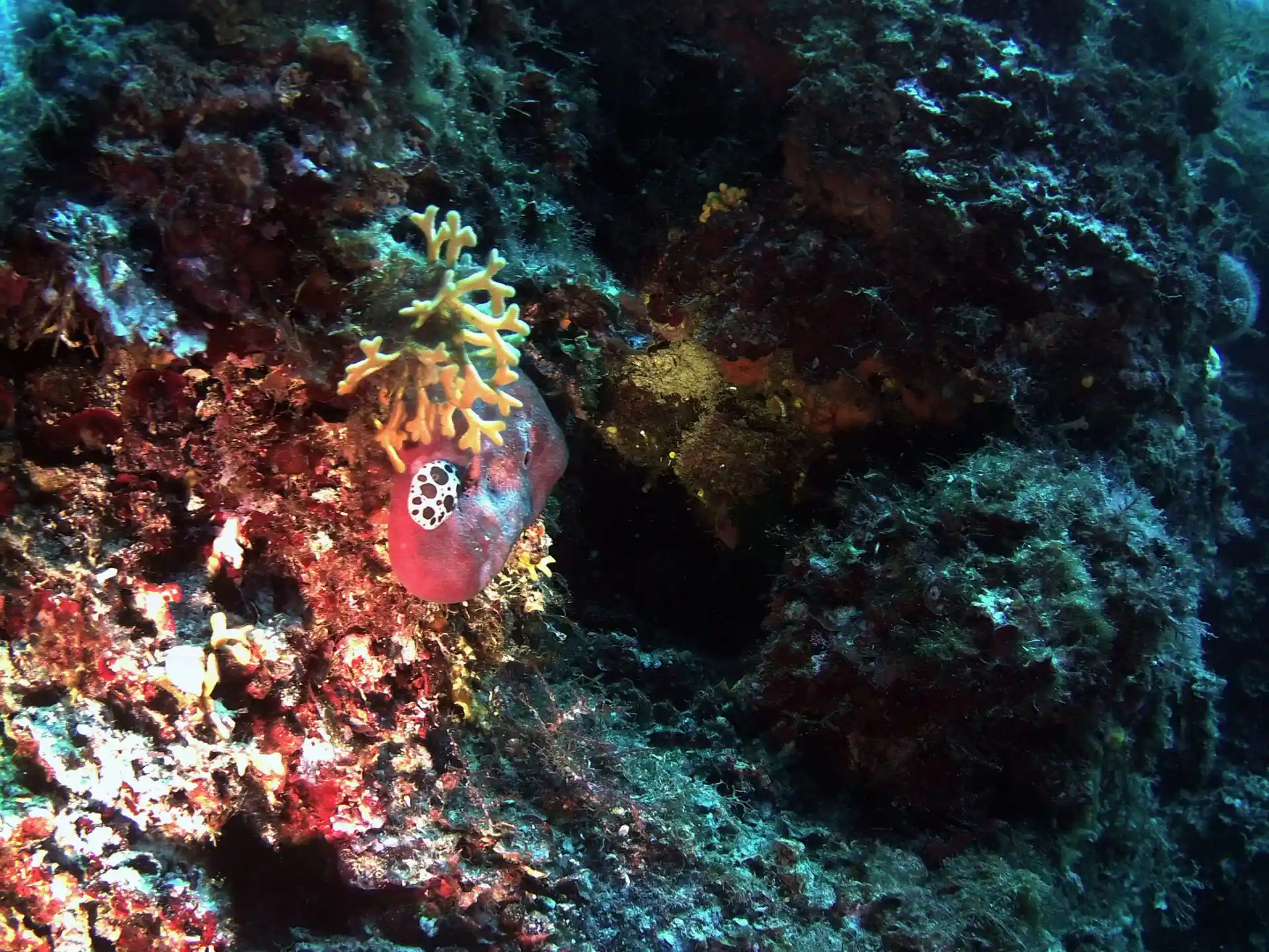Dive site photo