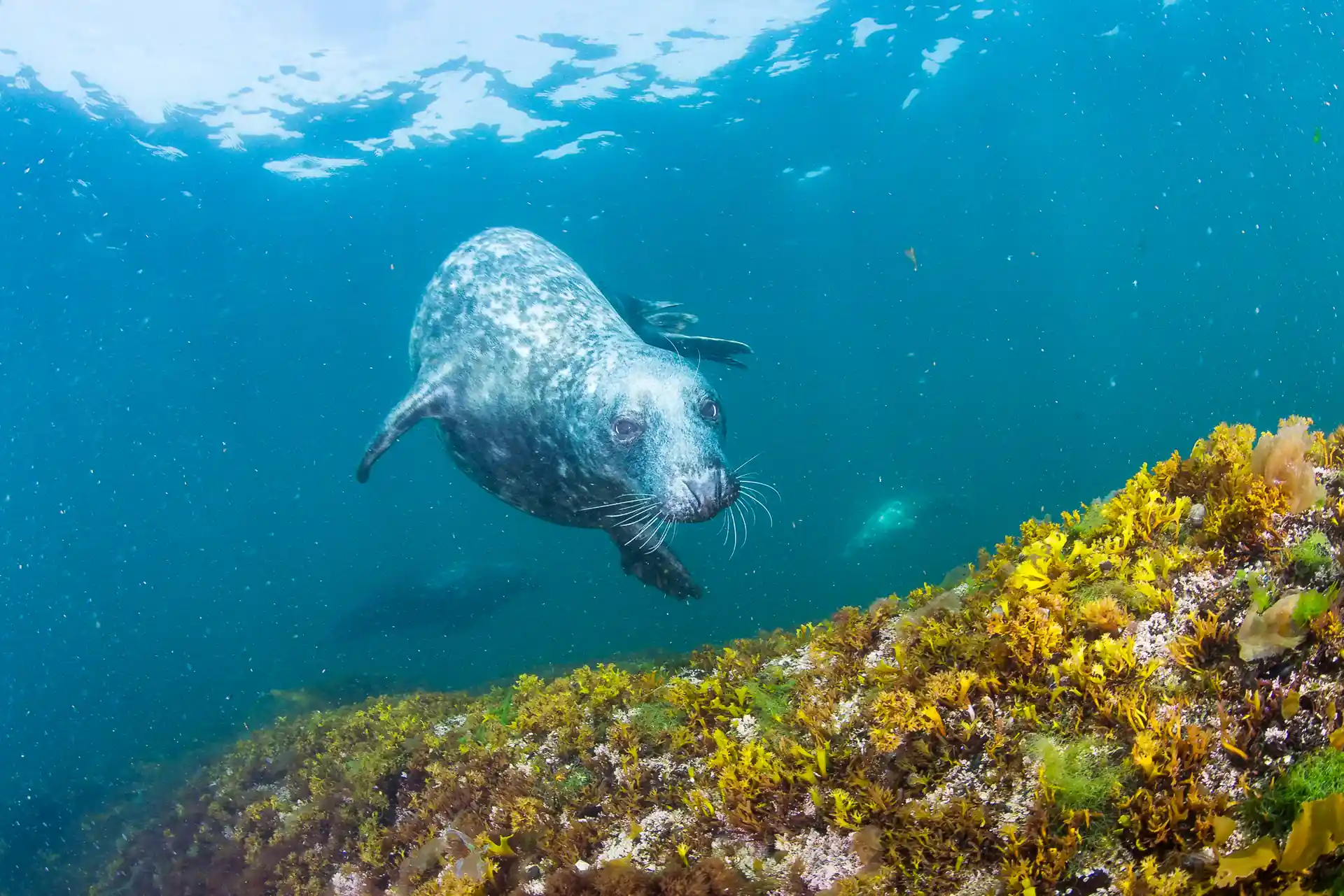 Dive site photo