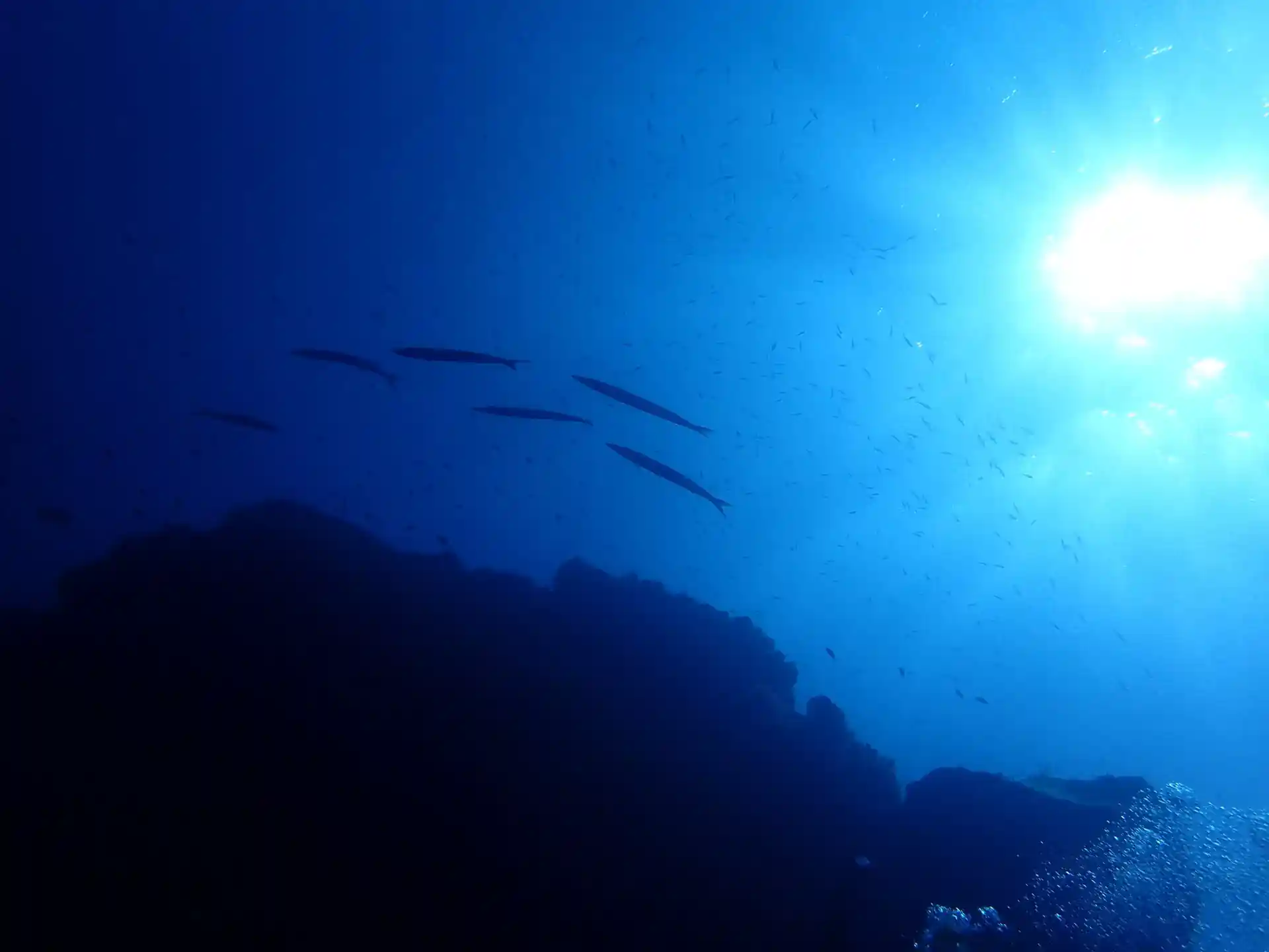 다이빙 포인트 사진