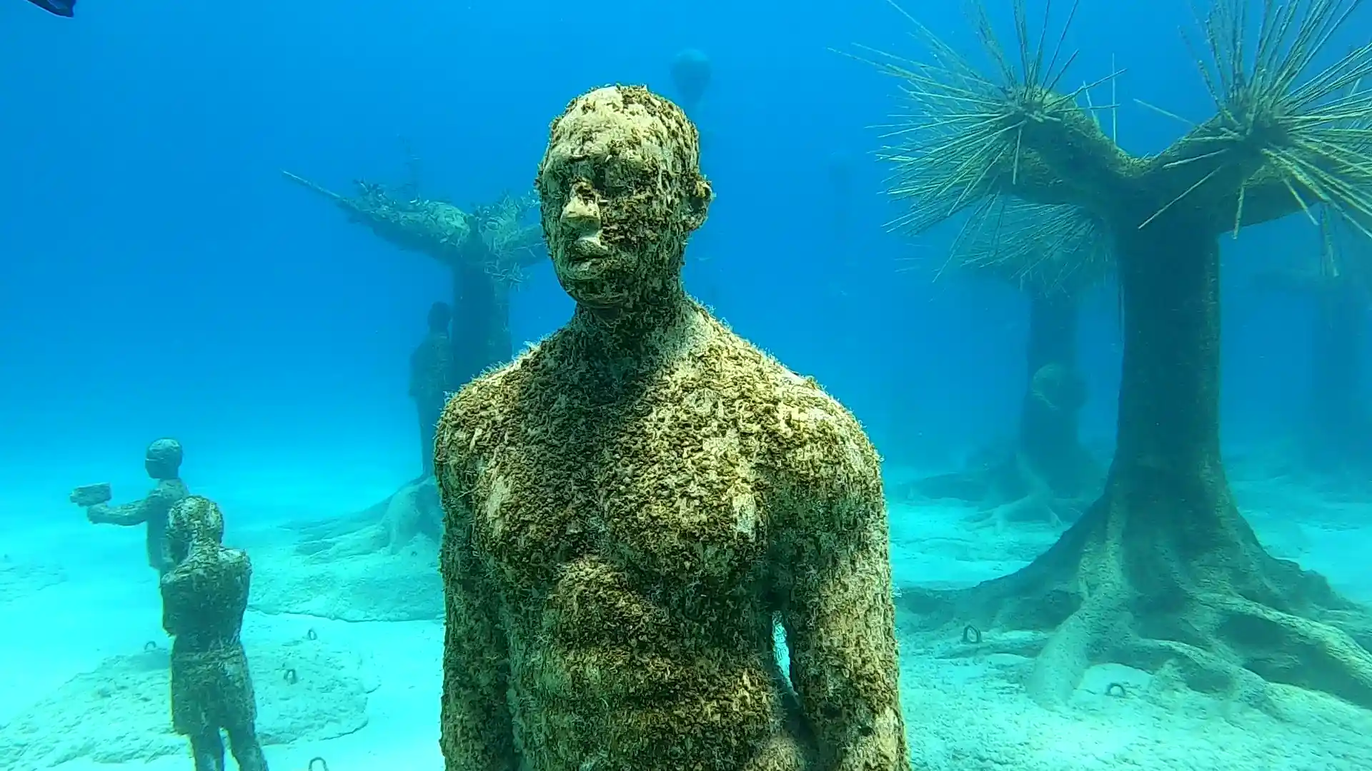 Foto de la actividad