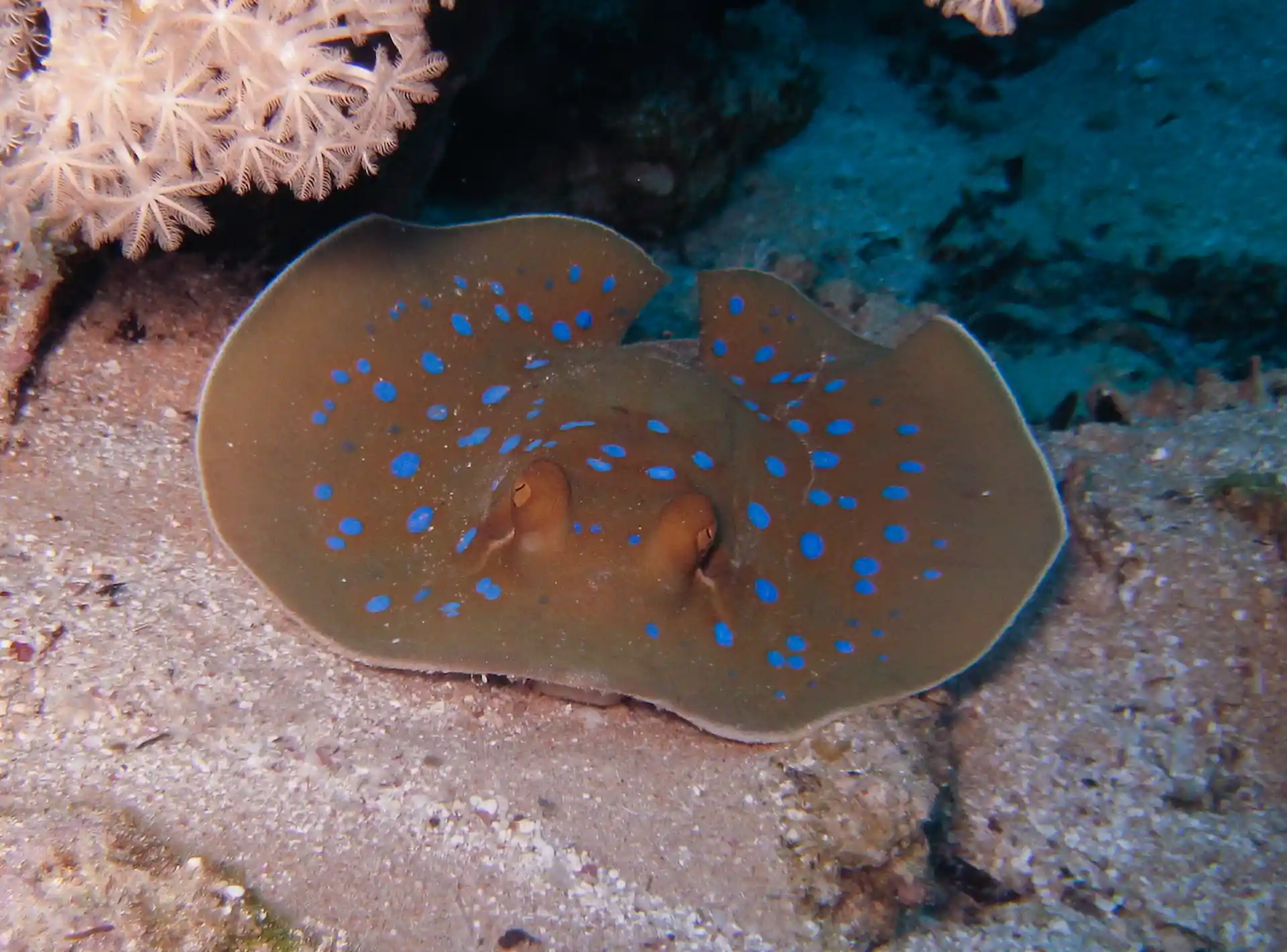 Dive site photo