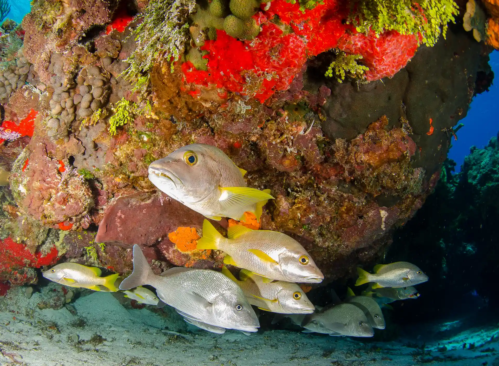 Foto de la actividad