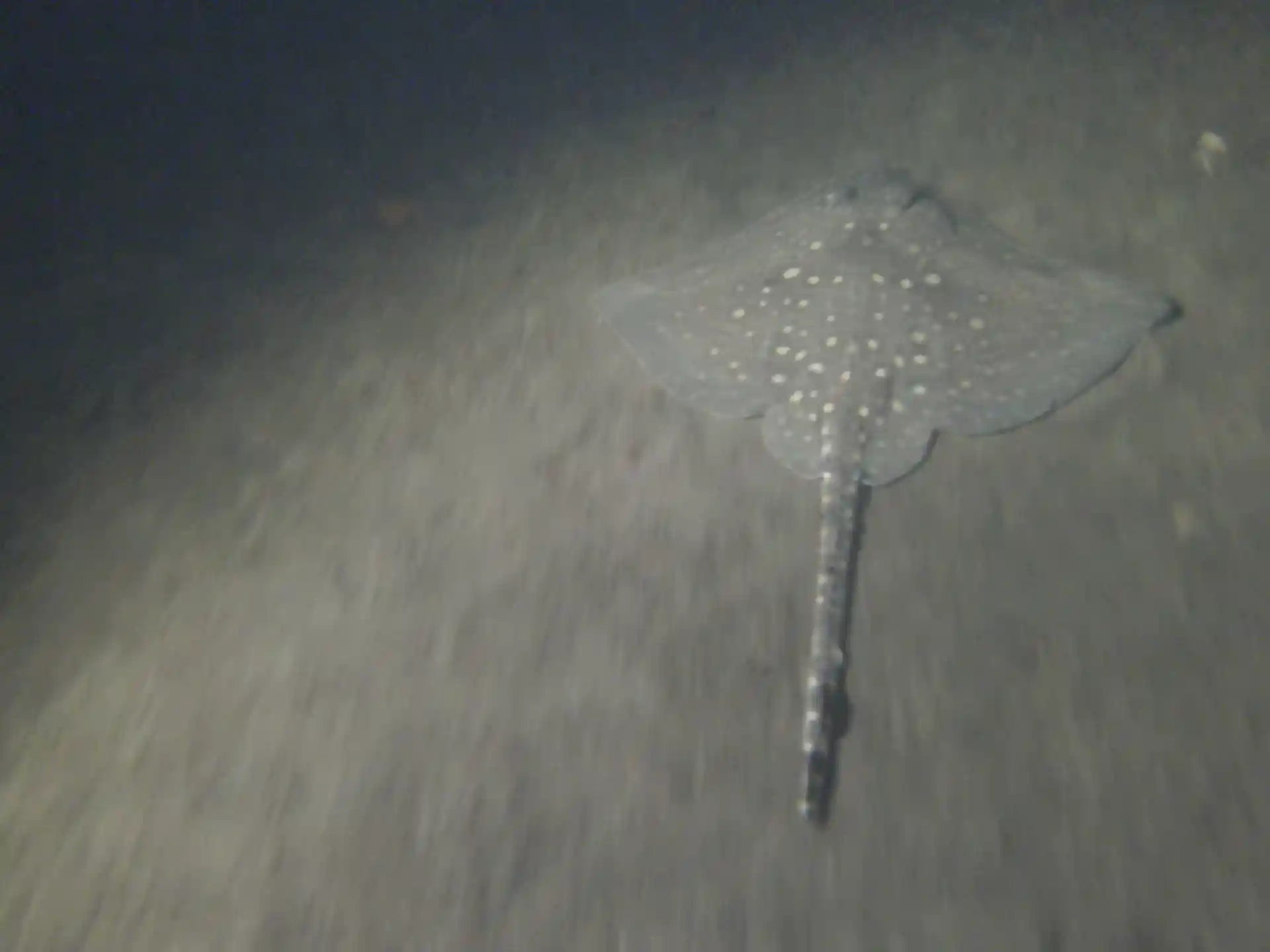 다이빙 포인트 사진