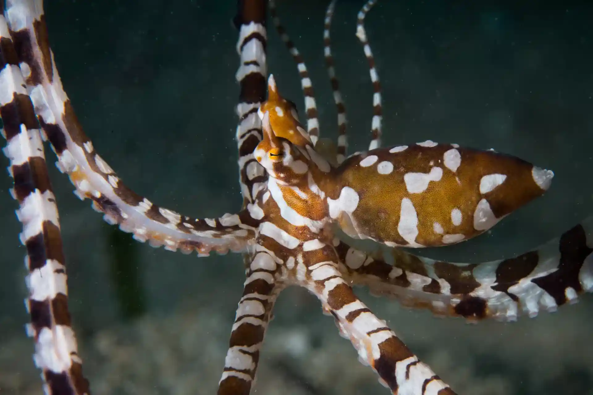Dive site photo