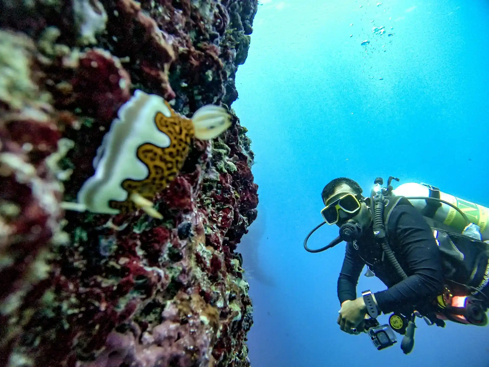 Dive site photo