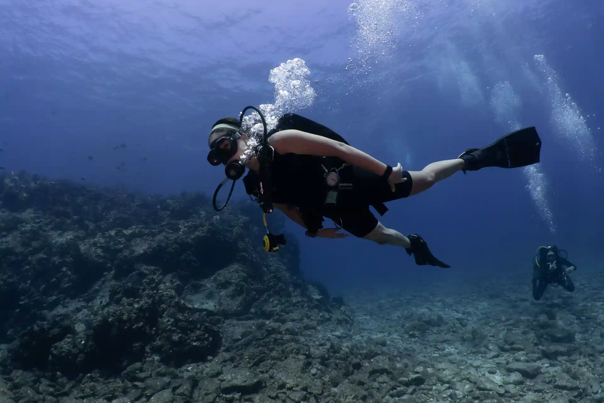 Dive the marine park