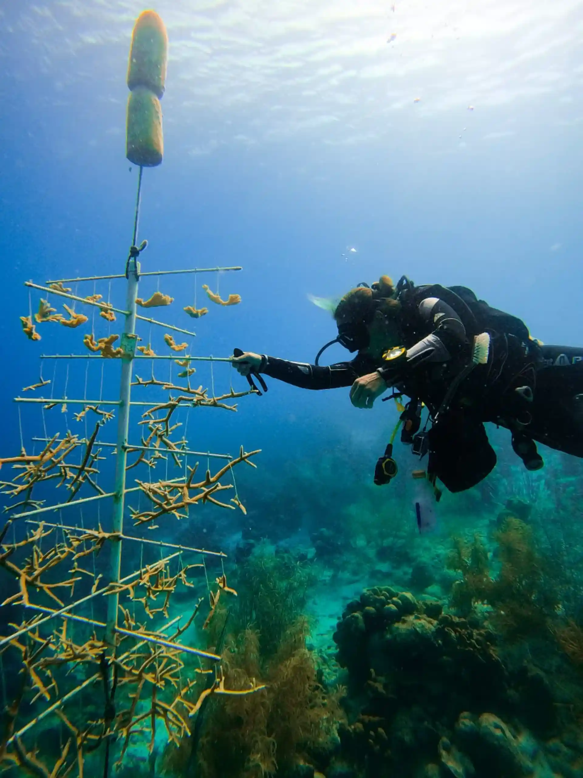 다이빙 포인트 사진