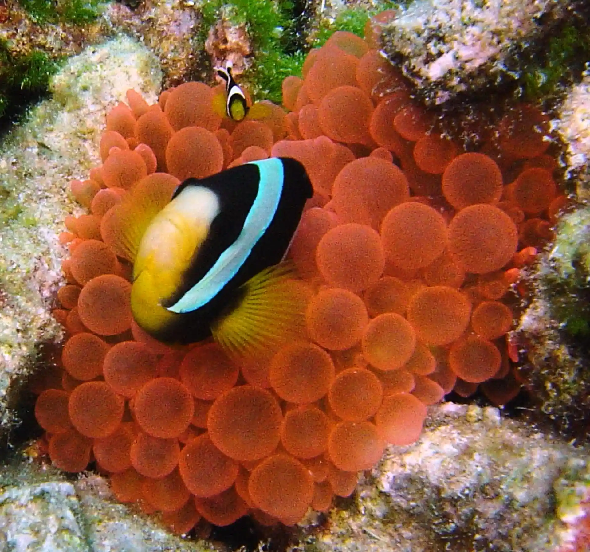Dive site photo