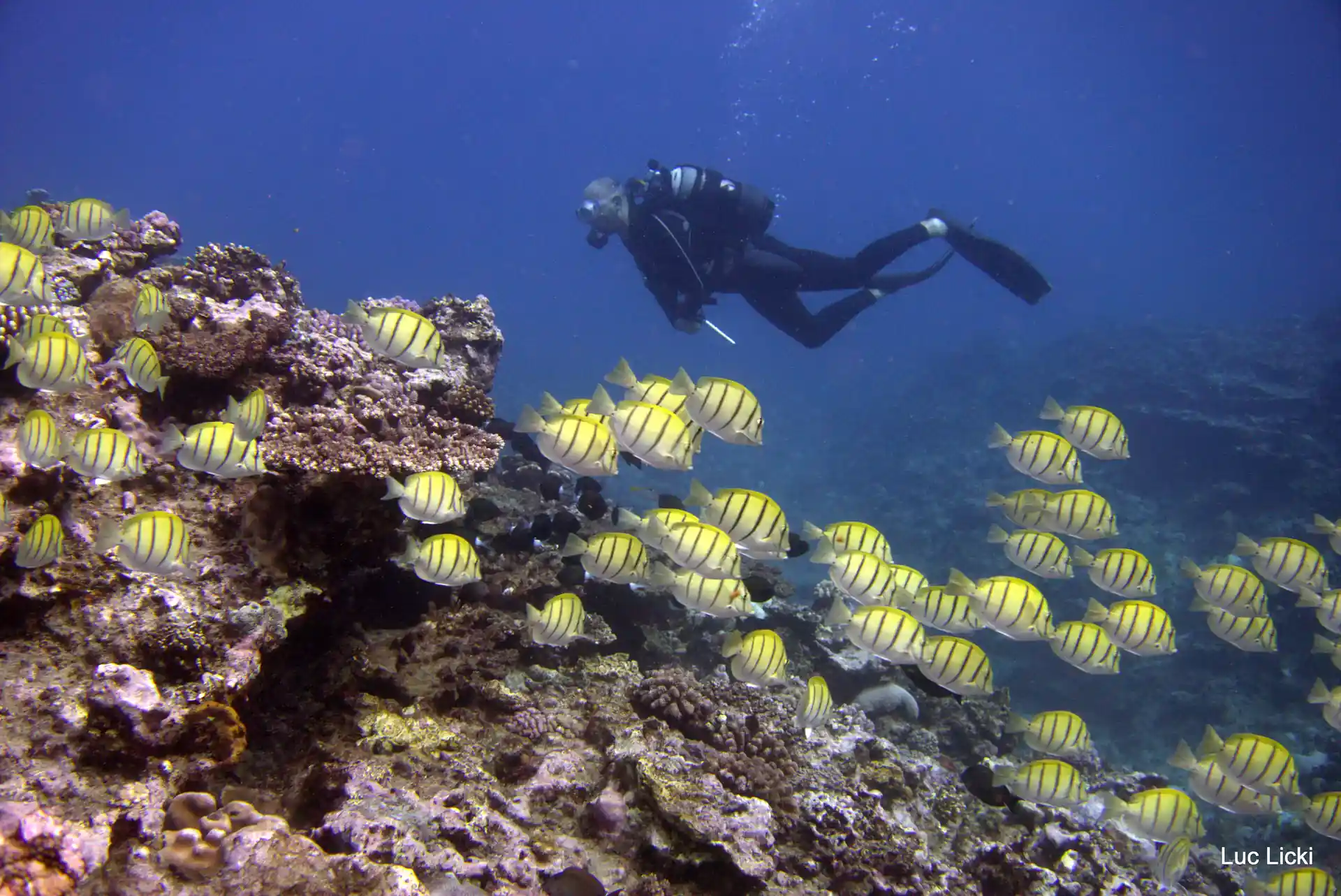 Photo de l'activité