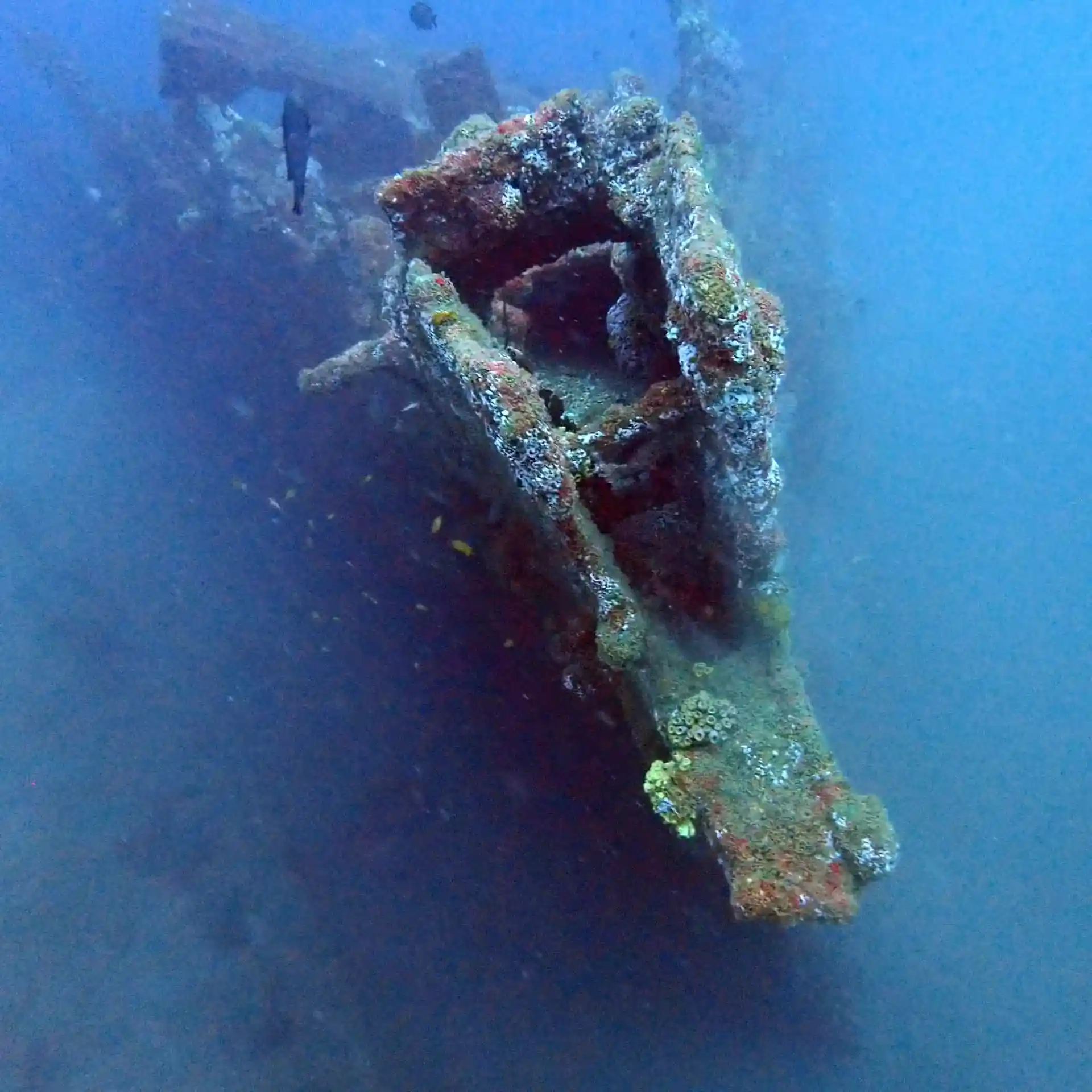 Choose from different dive spots.