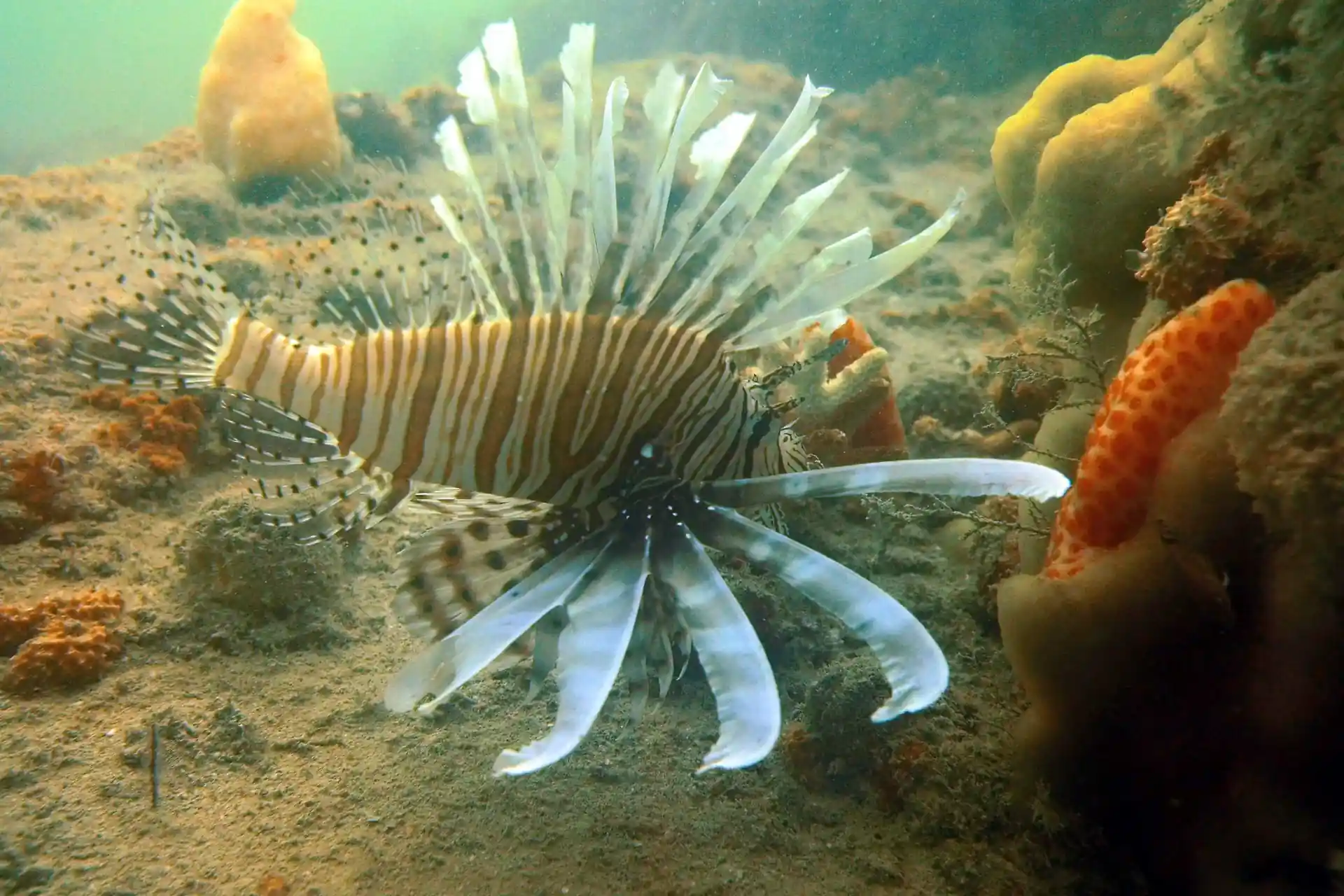 Dive site photo