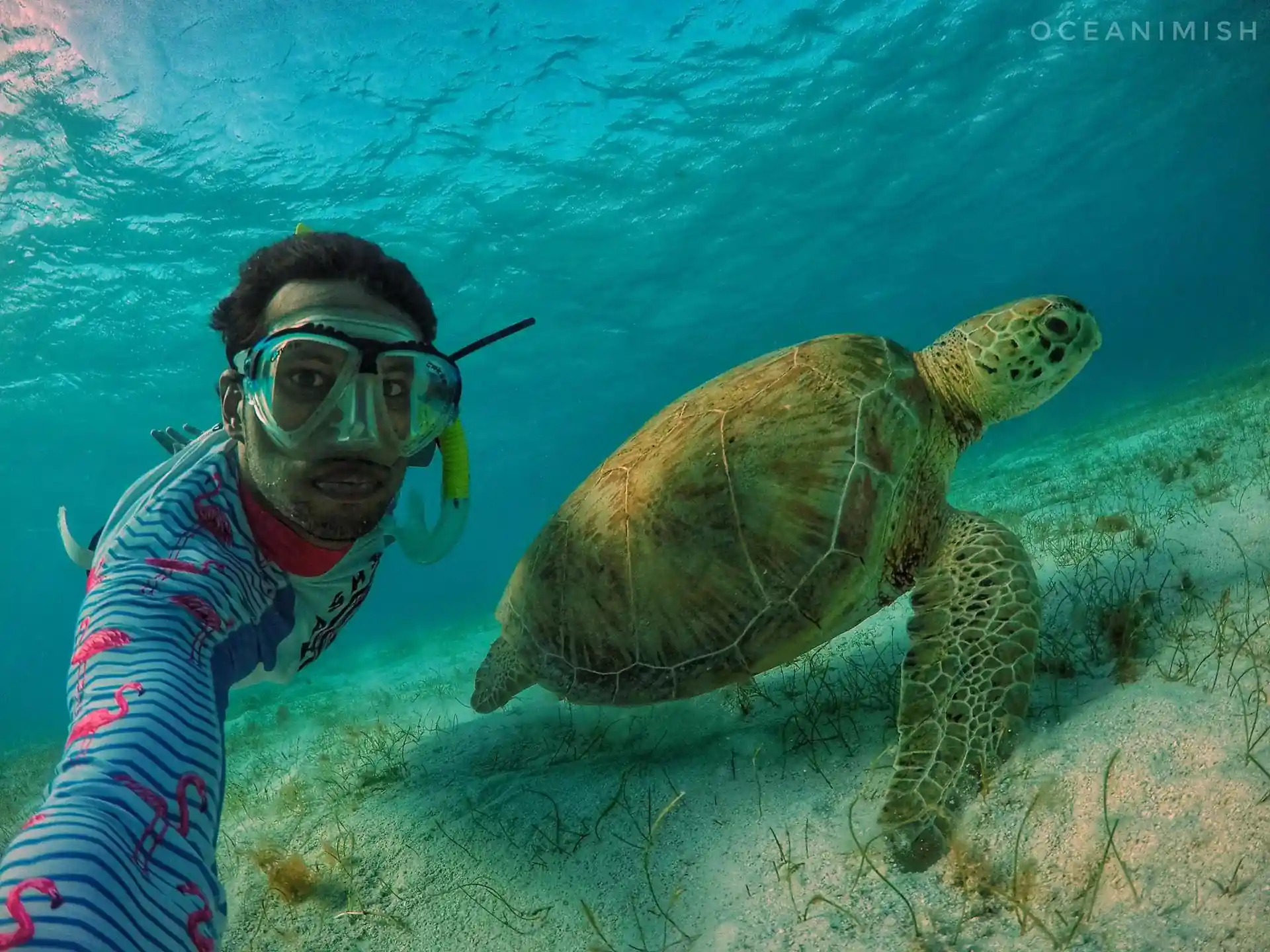 Freediving the Tobogo Cays