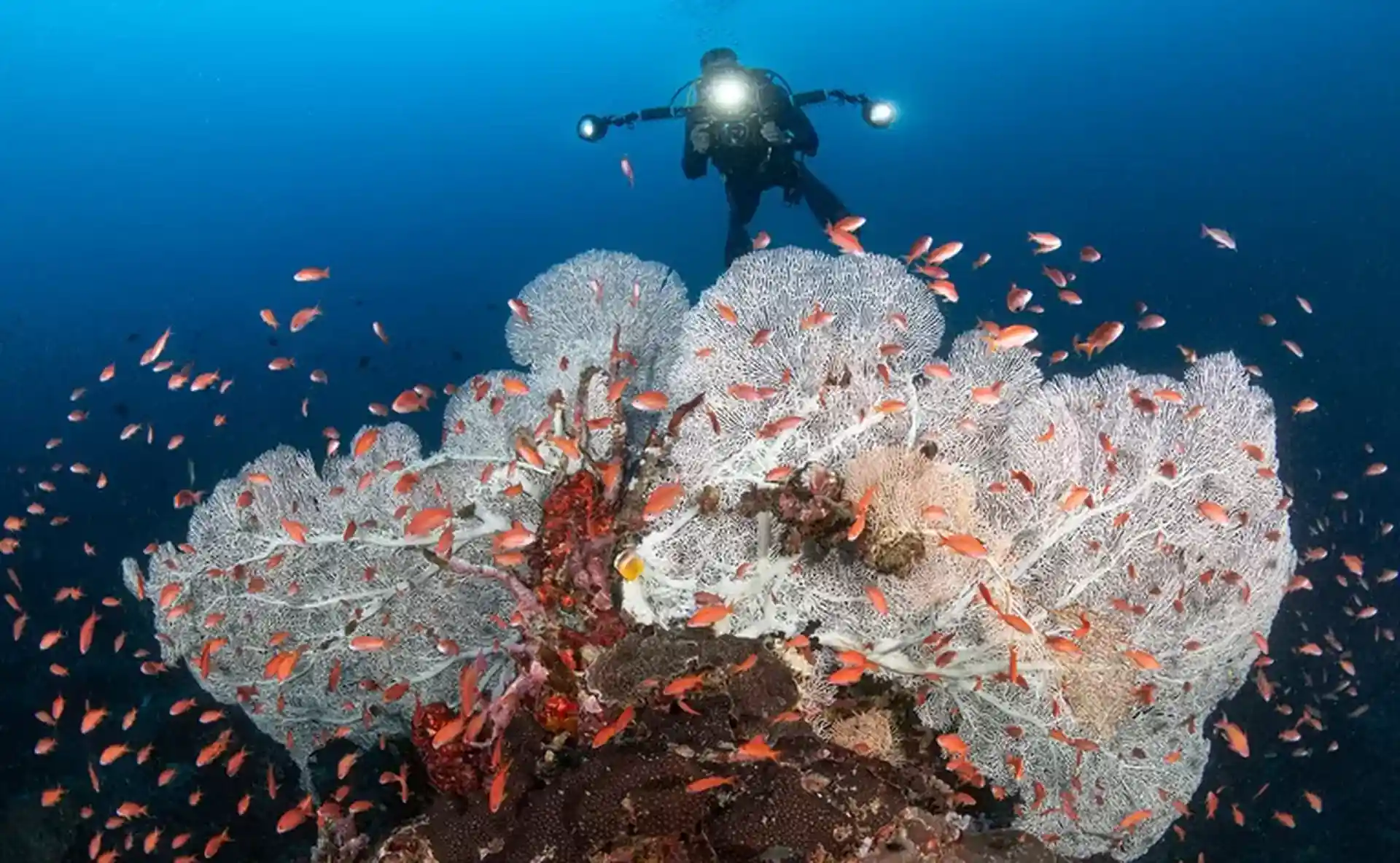 Dive site photo