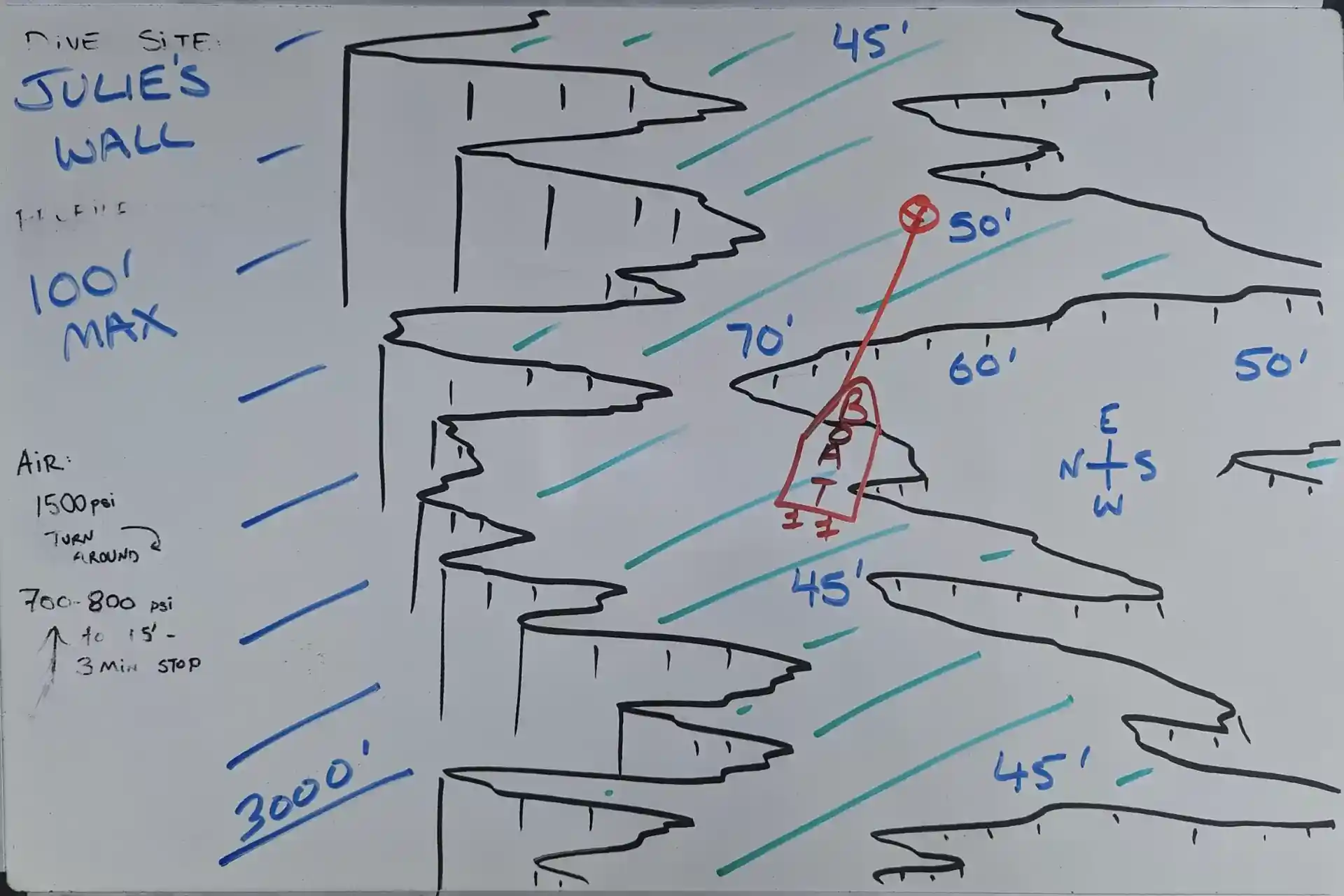 ダイビングサイトの写真