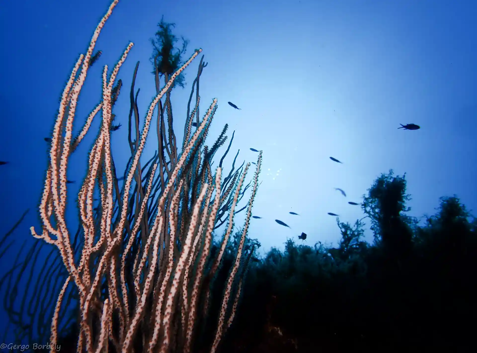 Foto de la actividad