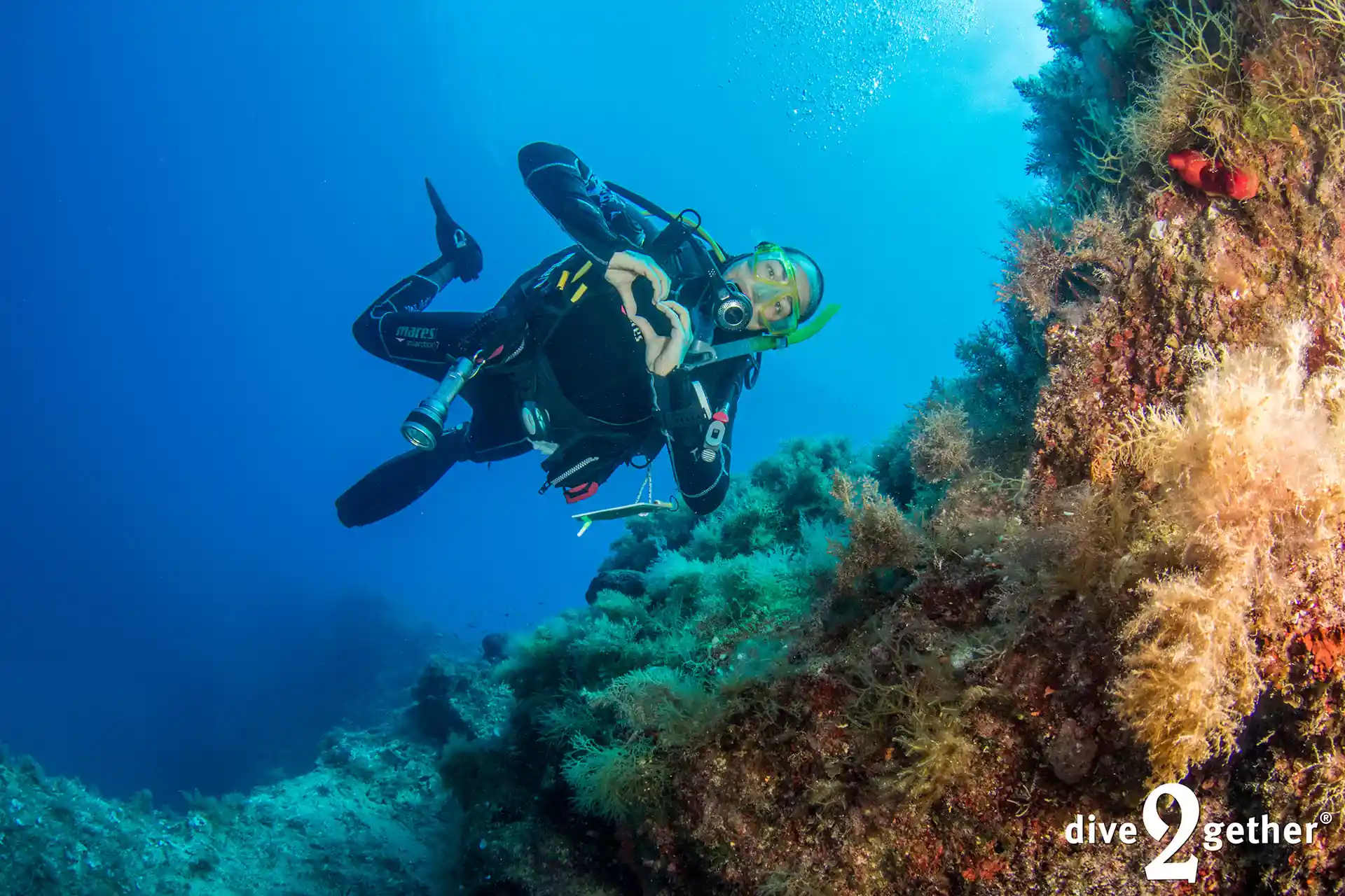 Photo de l'activité