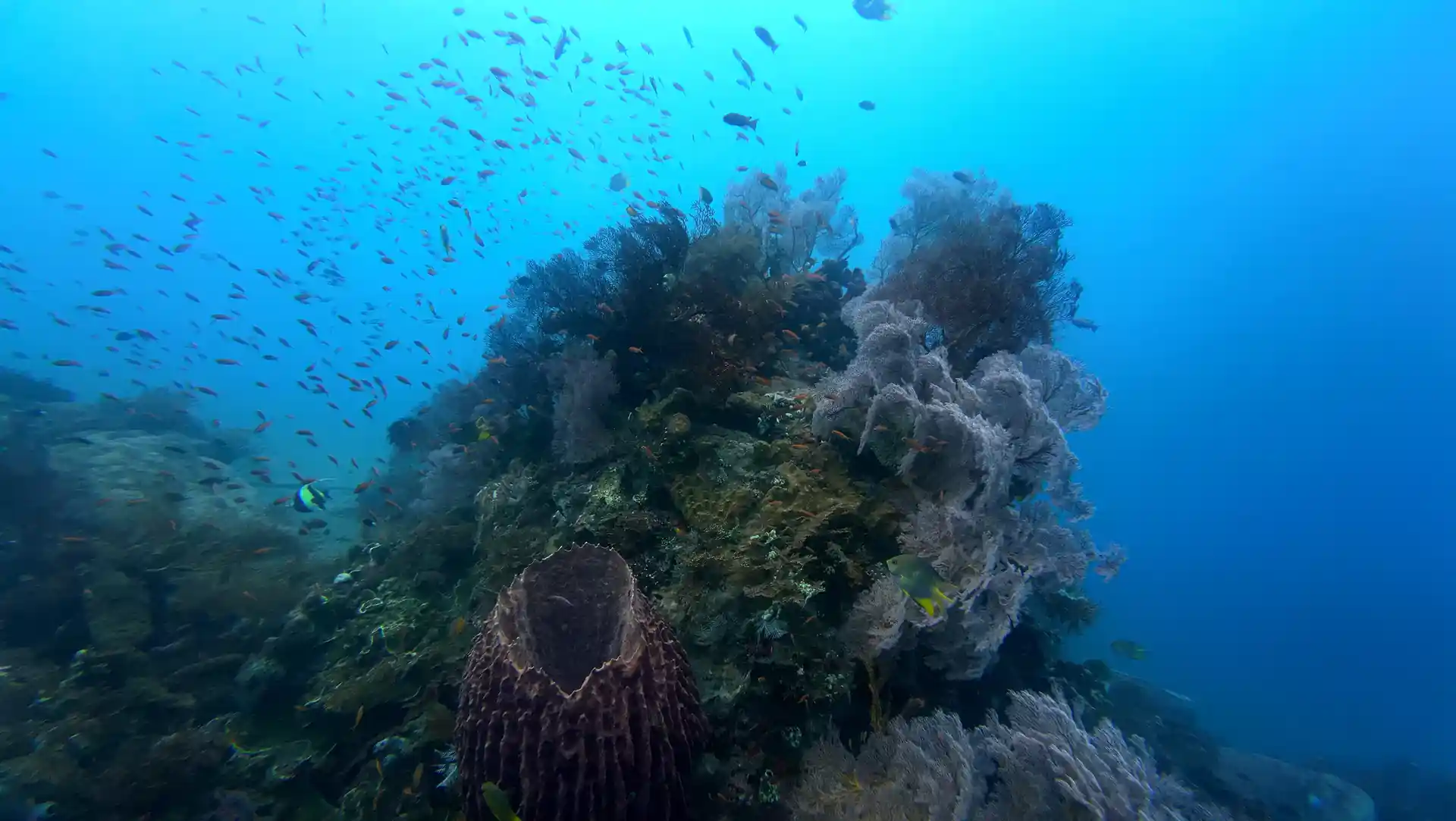 Foto de la actividad