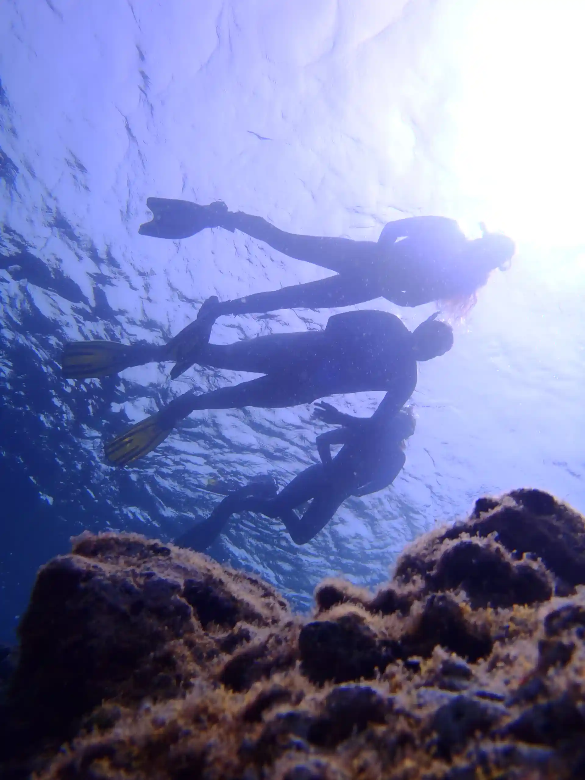 Photo de l'activité