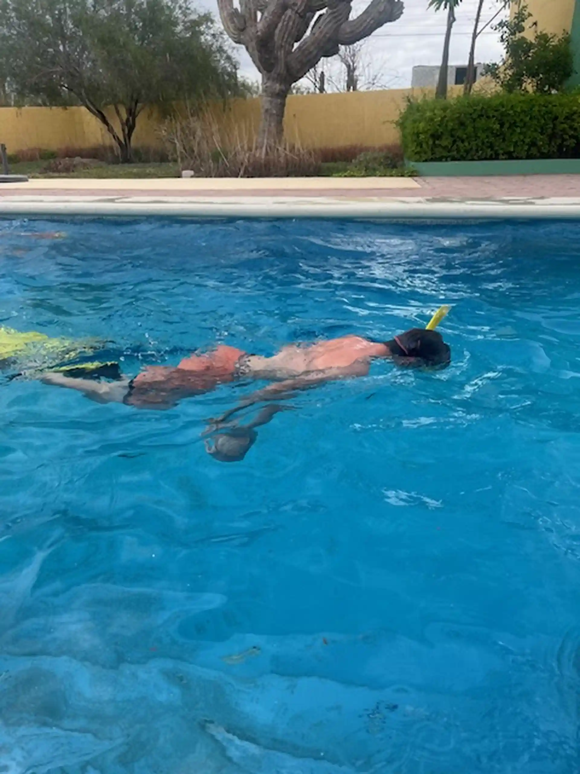 Learning to use the snorkel