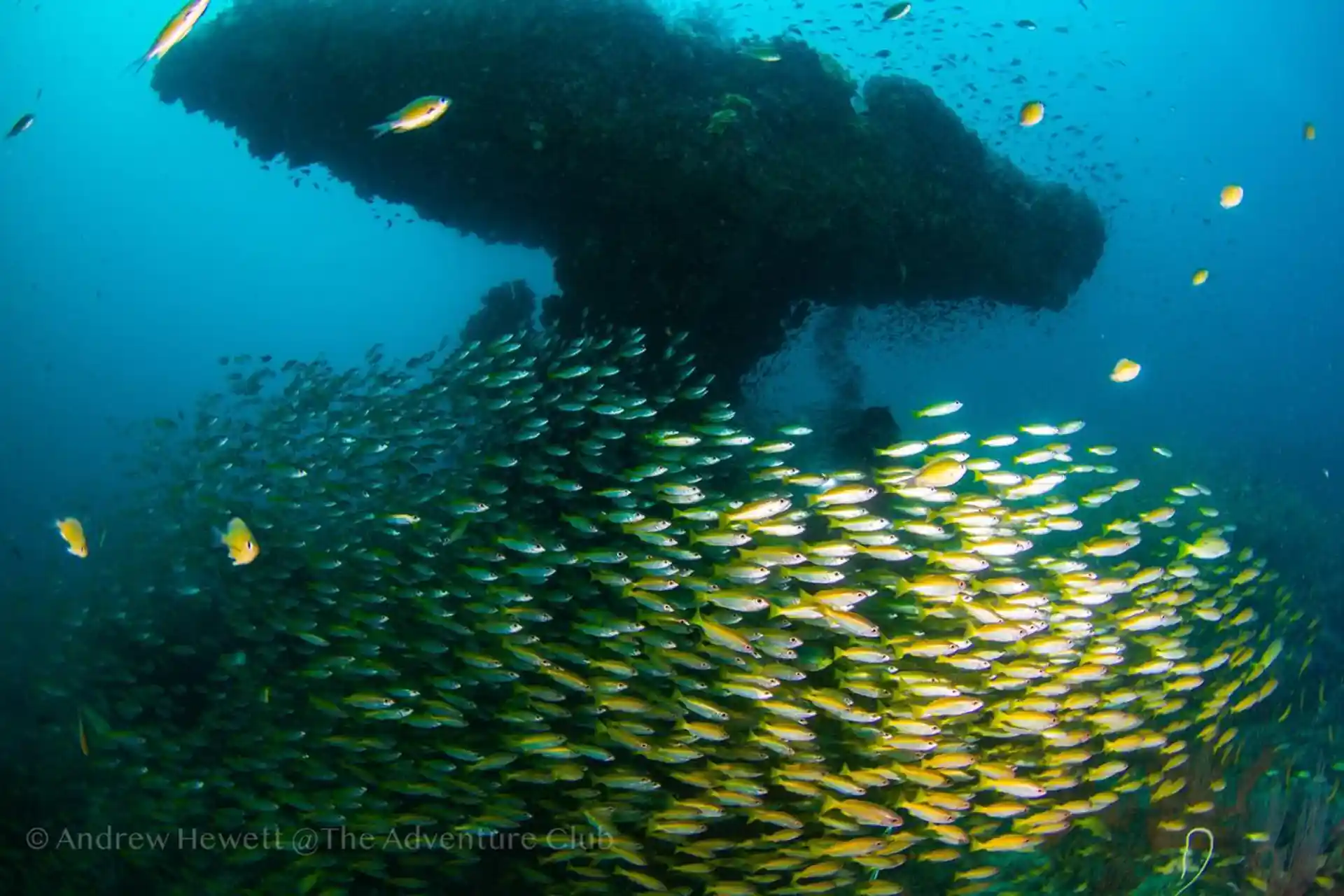 Dive site photo