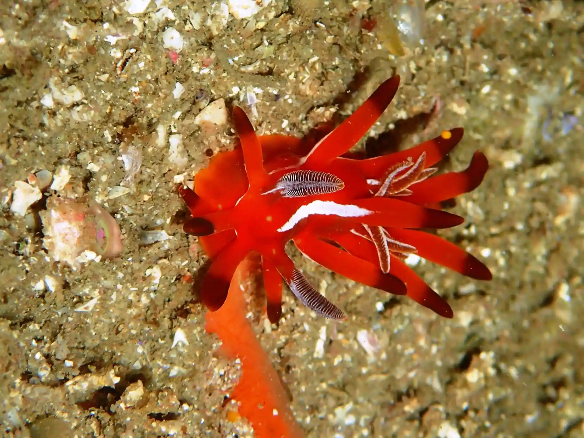 Dive site photo