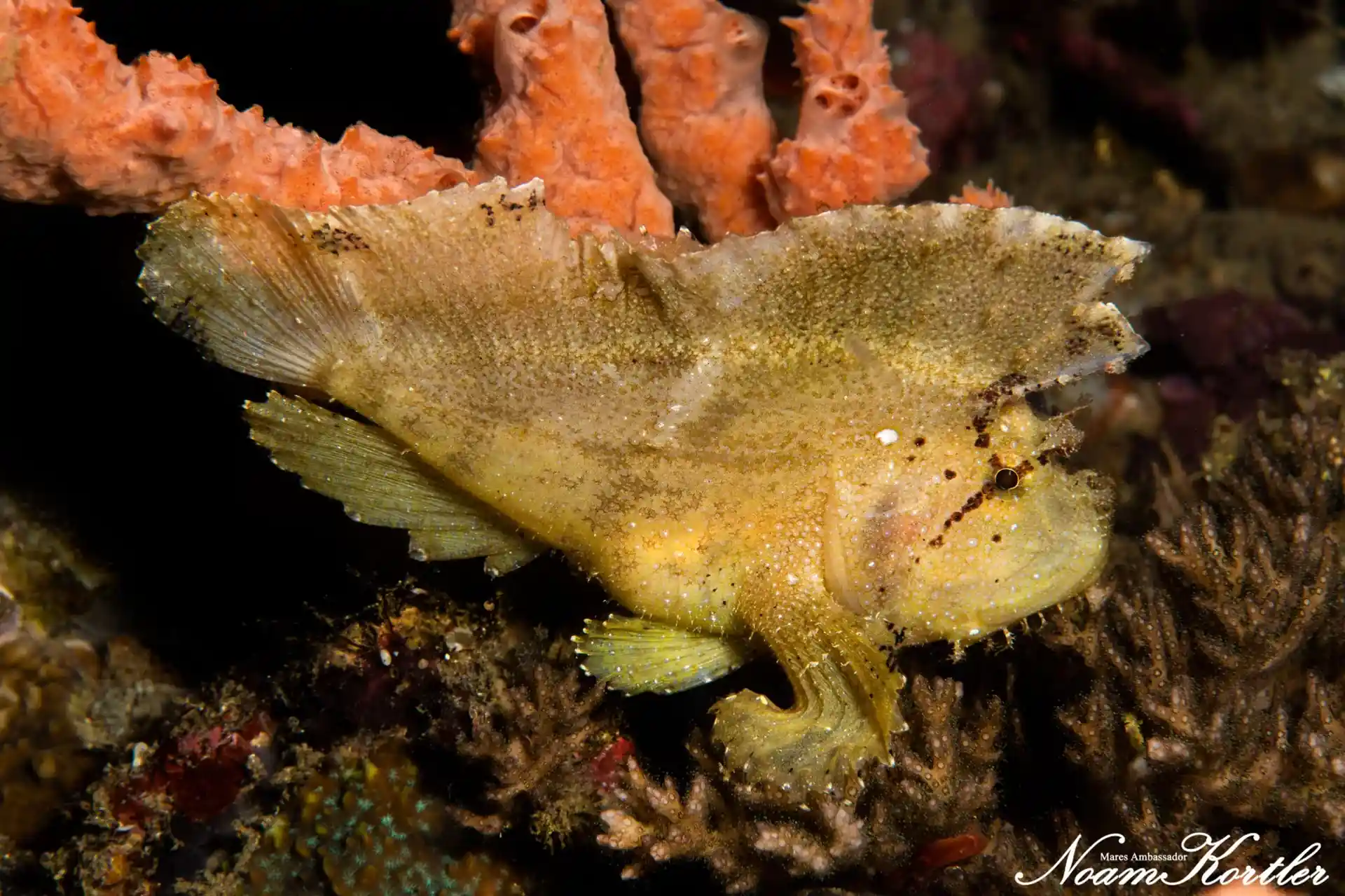 Dive site photo