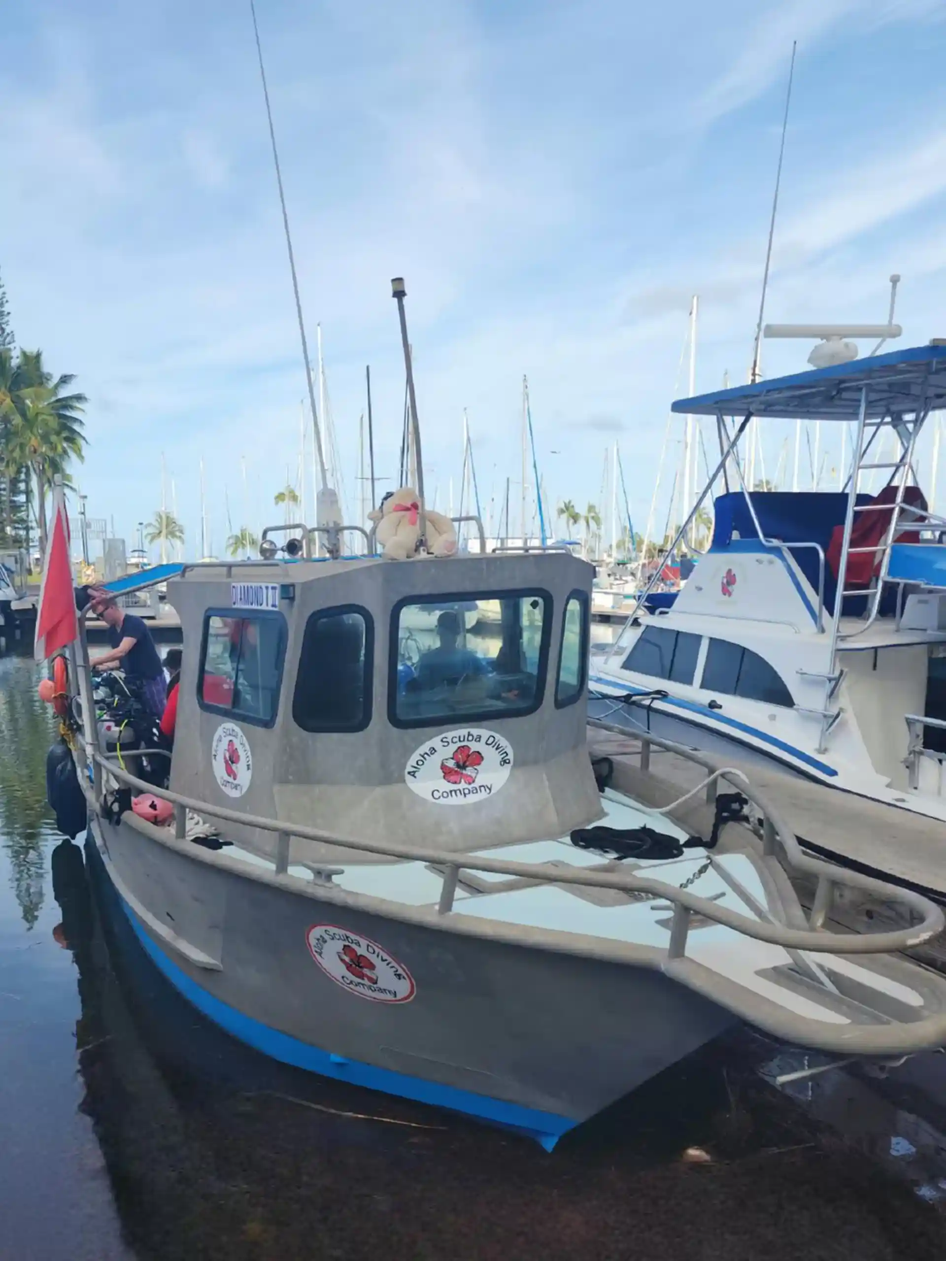 Foto de la tienda de buceo