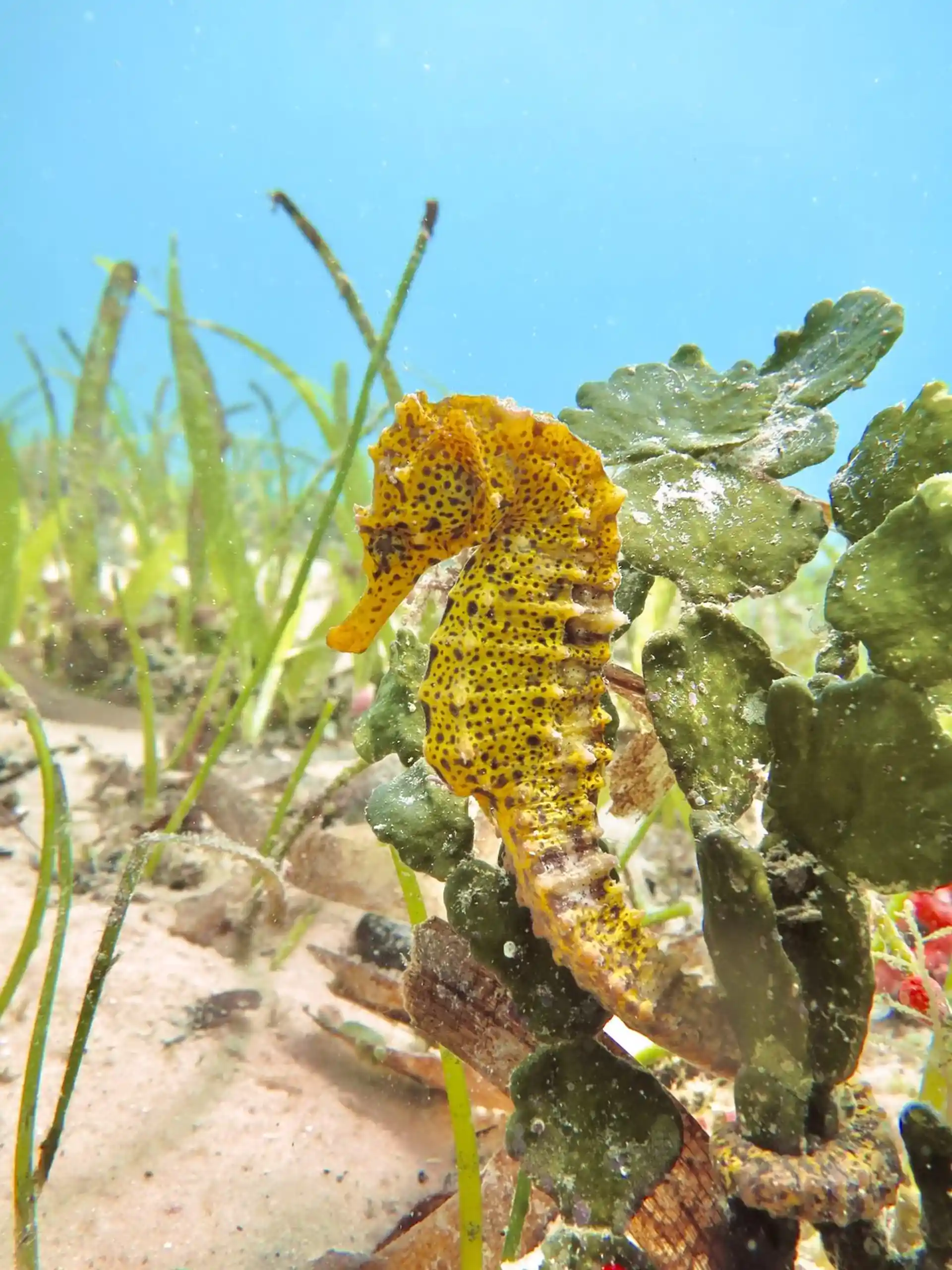 ダイビングサイトの写真