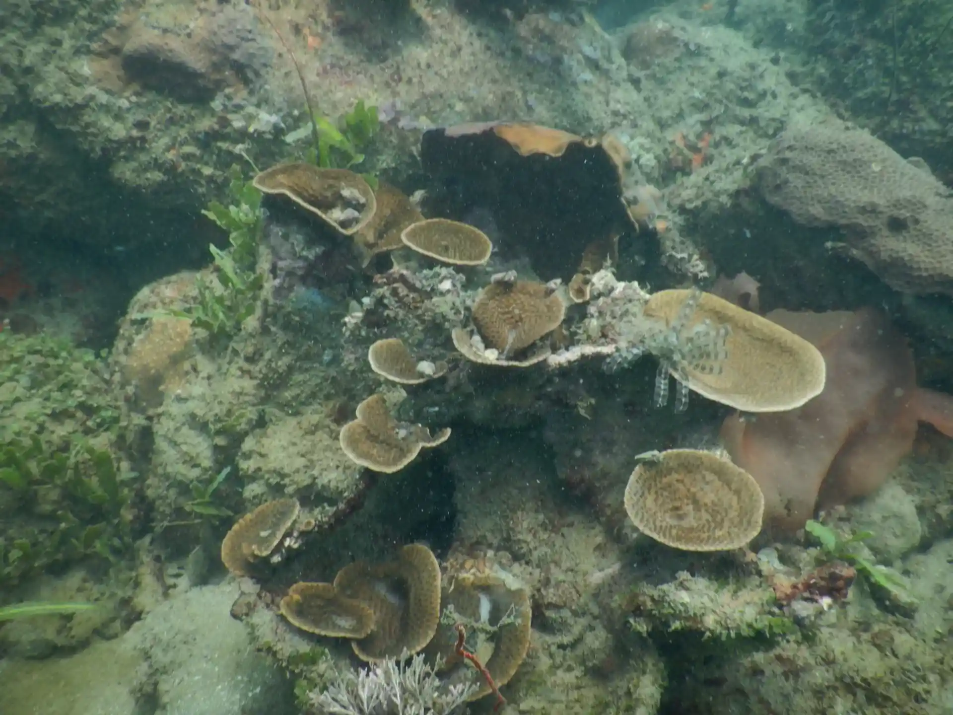 Dive shop photo