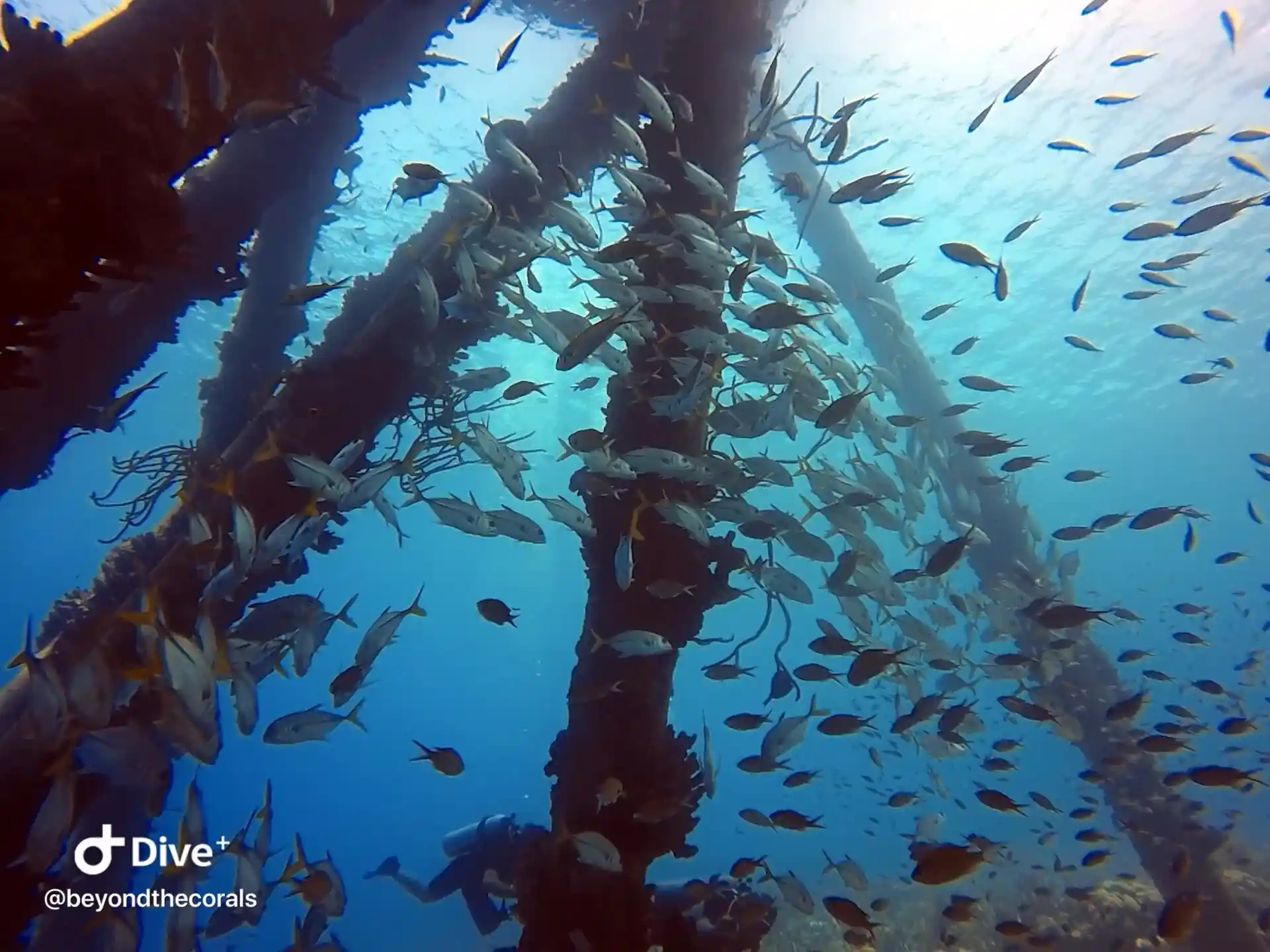 Foto del sitio de buceo