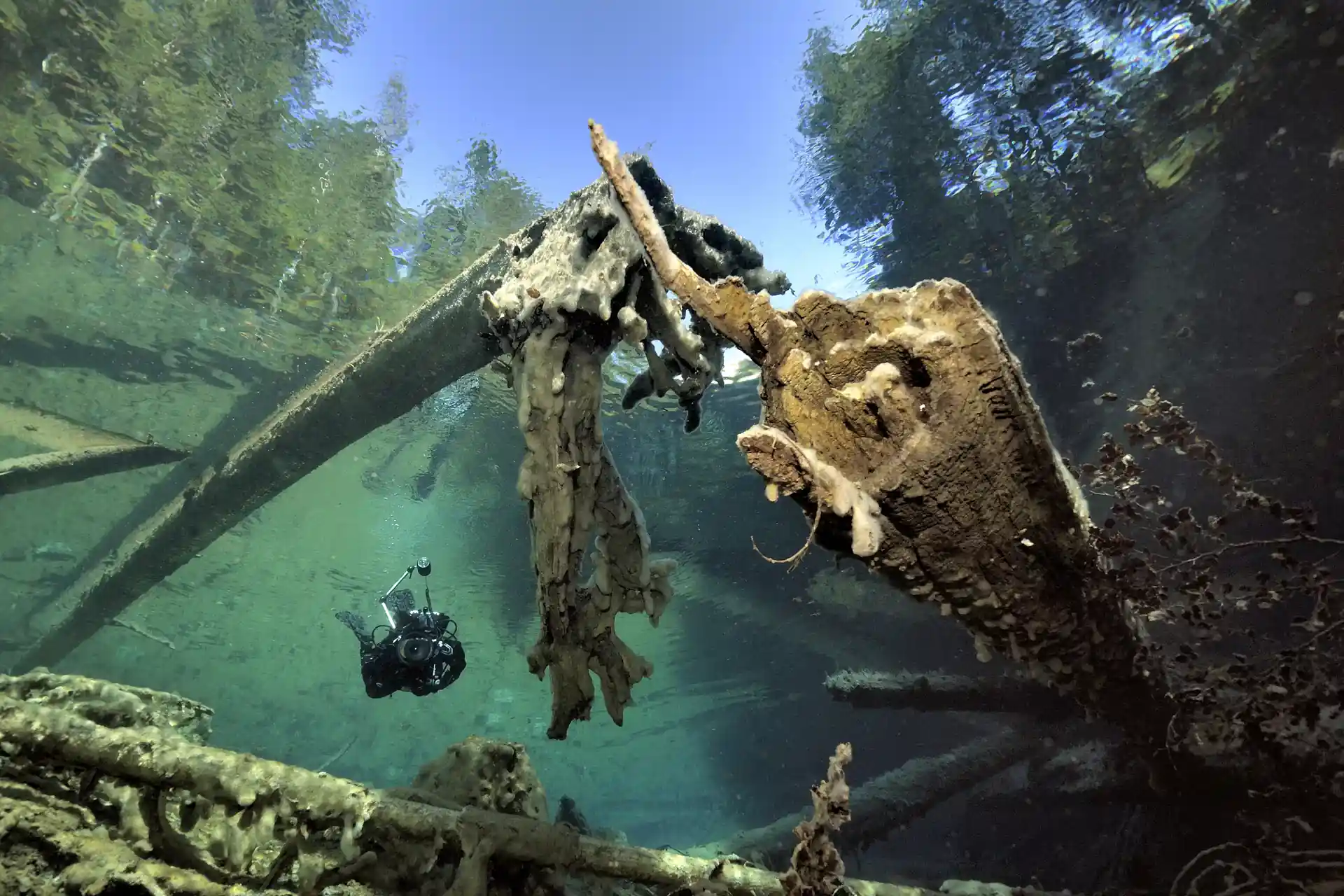 Foto de la actividad