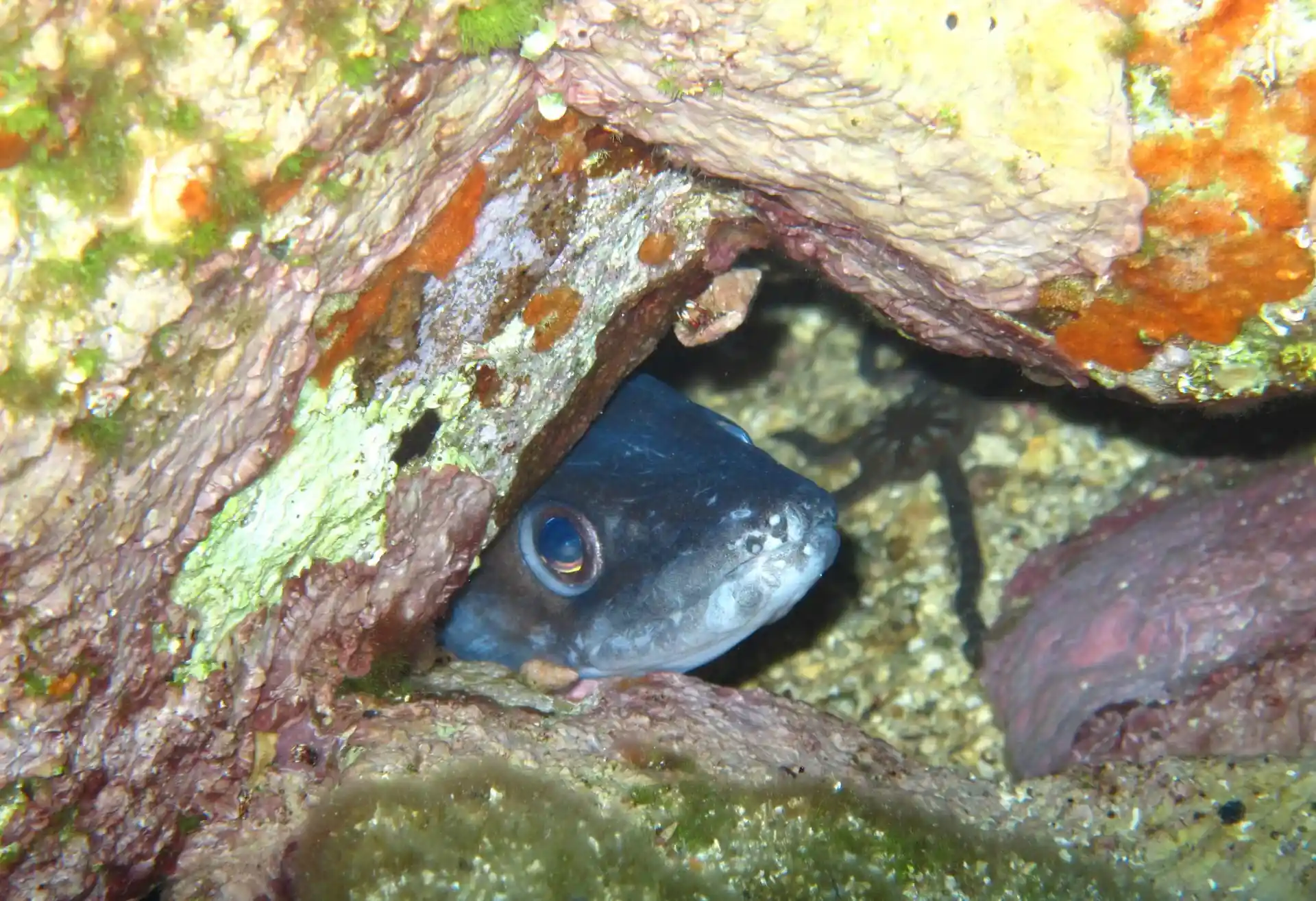 다이빙 포인트 사진