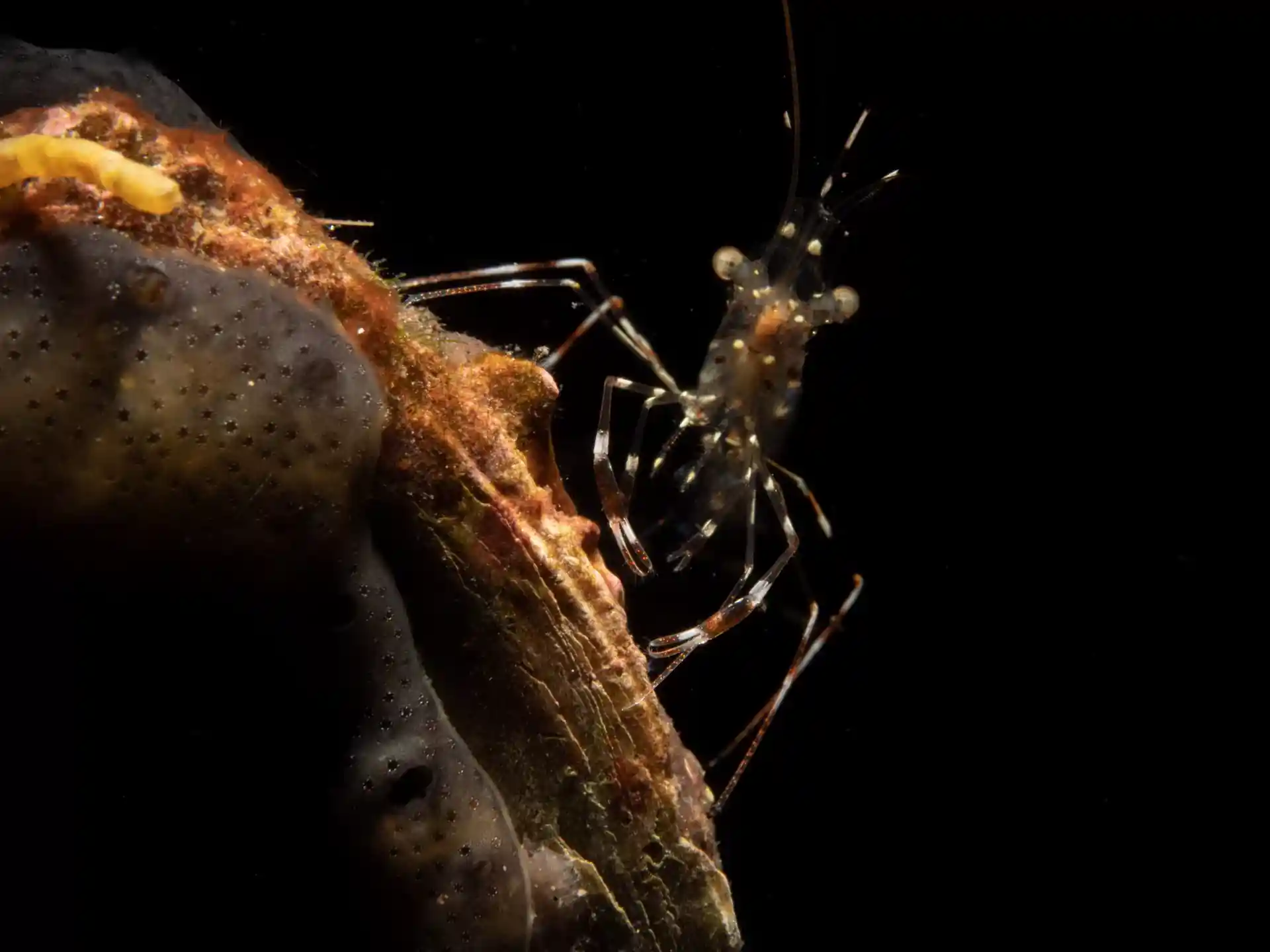 Foto des Tauchplatzes