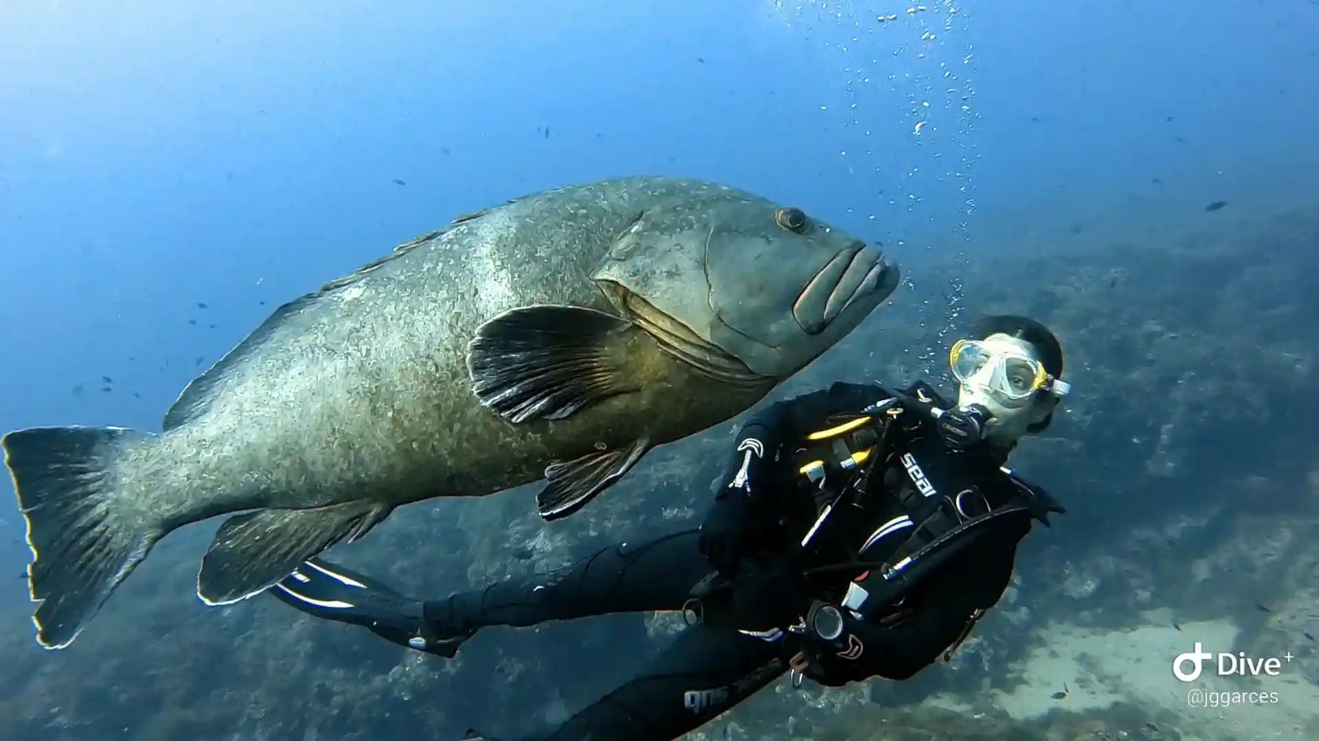 Foto de la actividad
