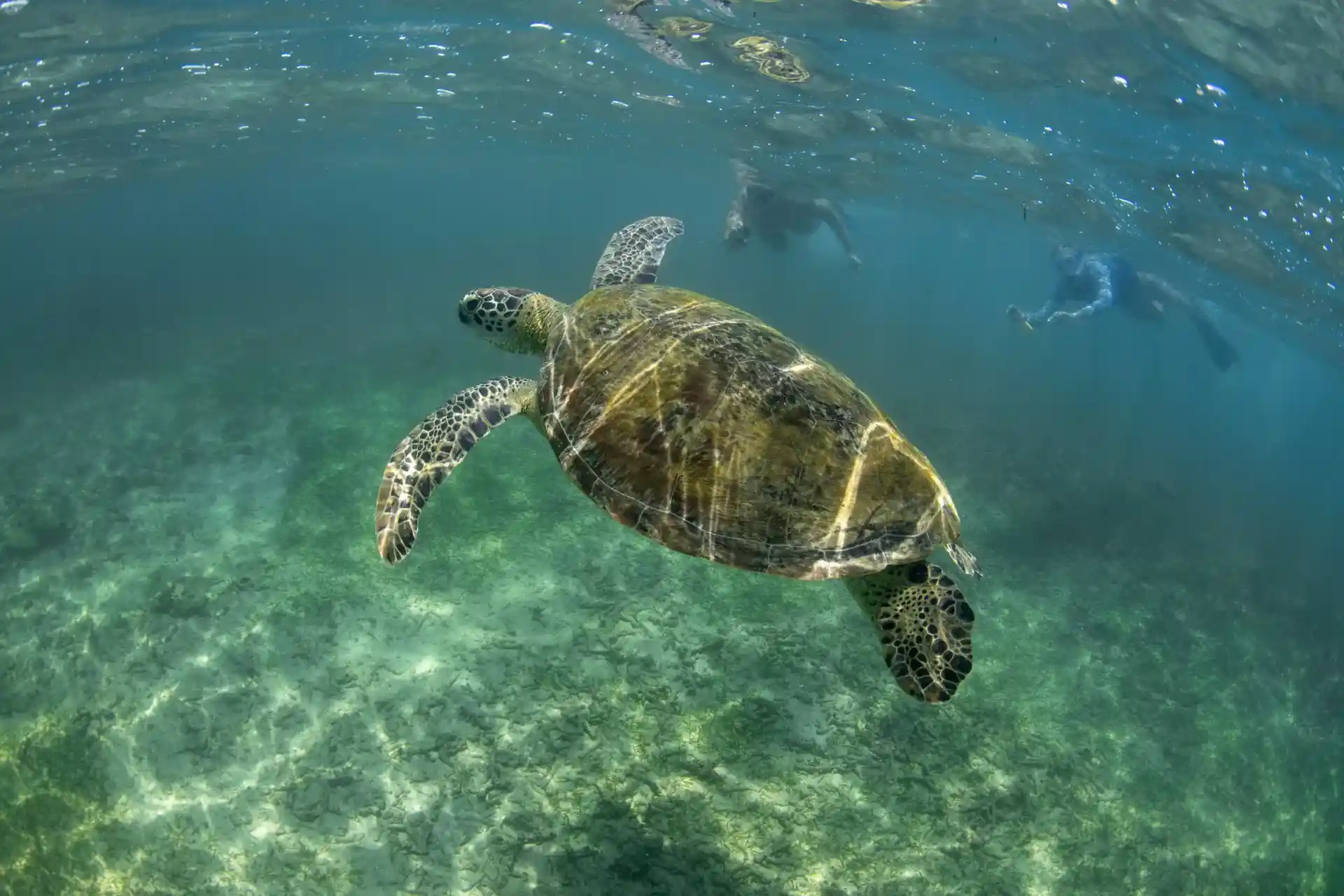 Photo de l'activité