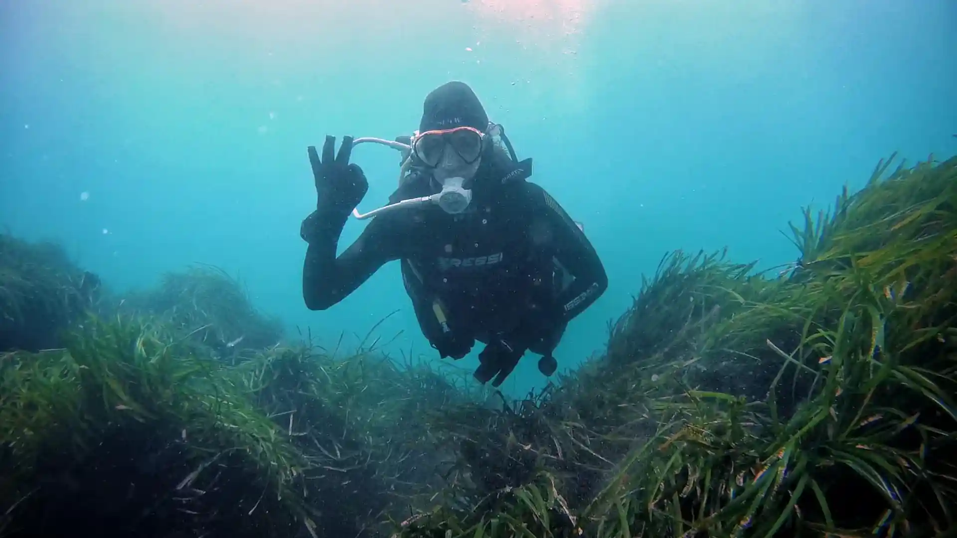 Dive site photo