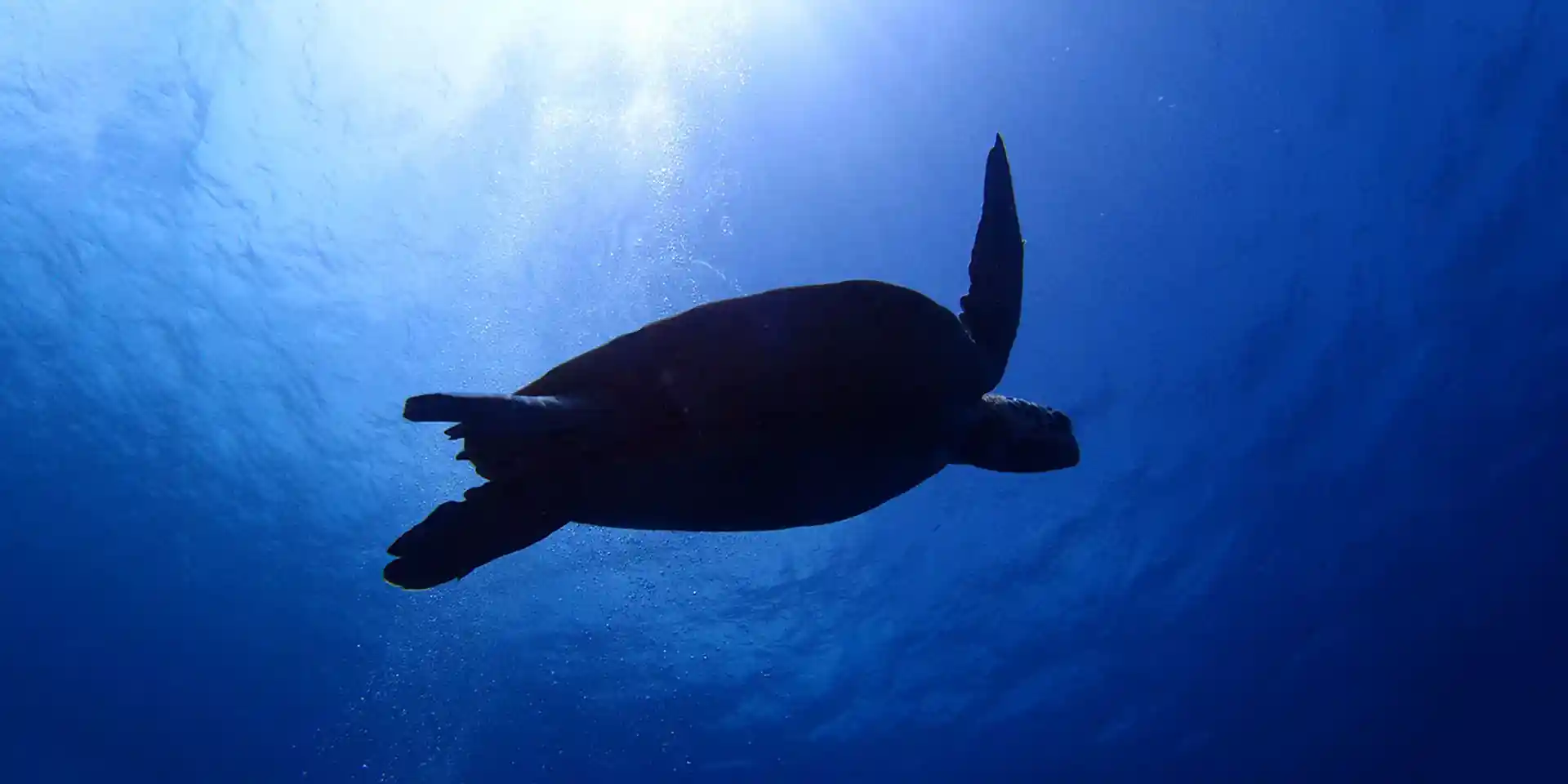 ダイビングショップの写真