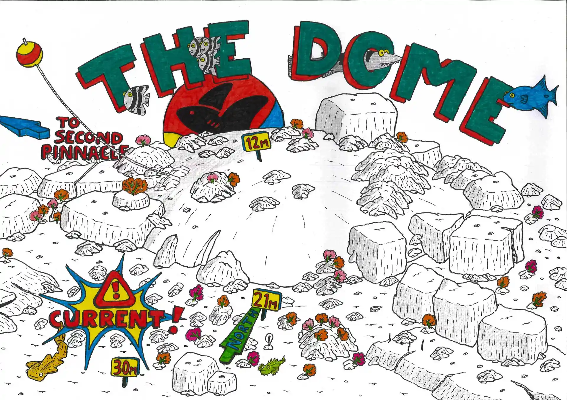 다이빙 포인트 사진